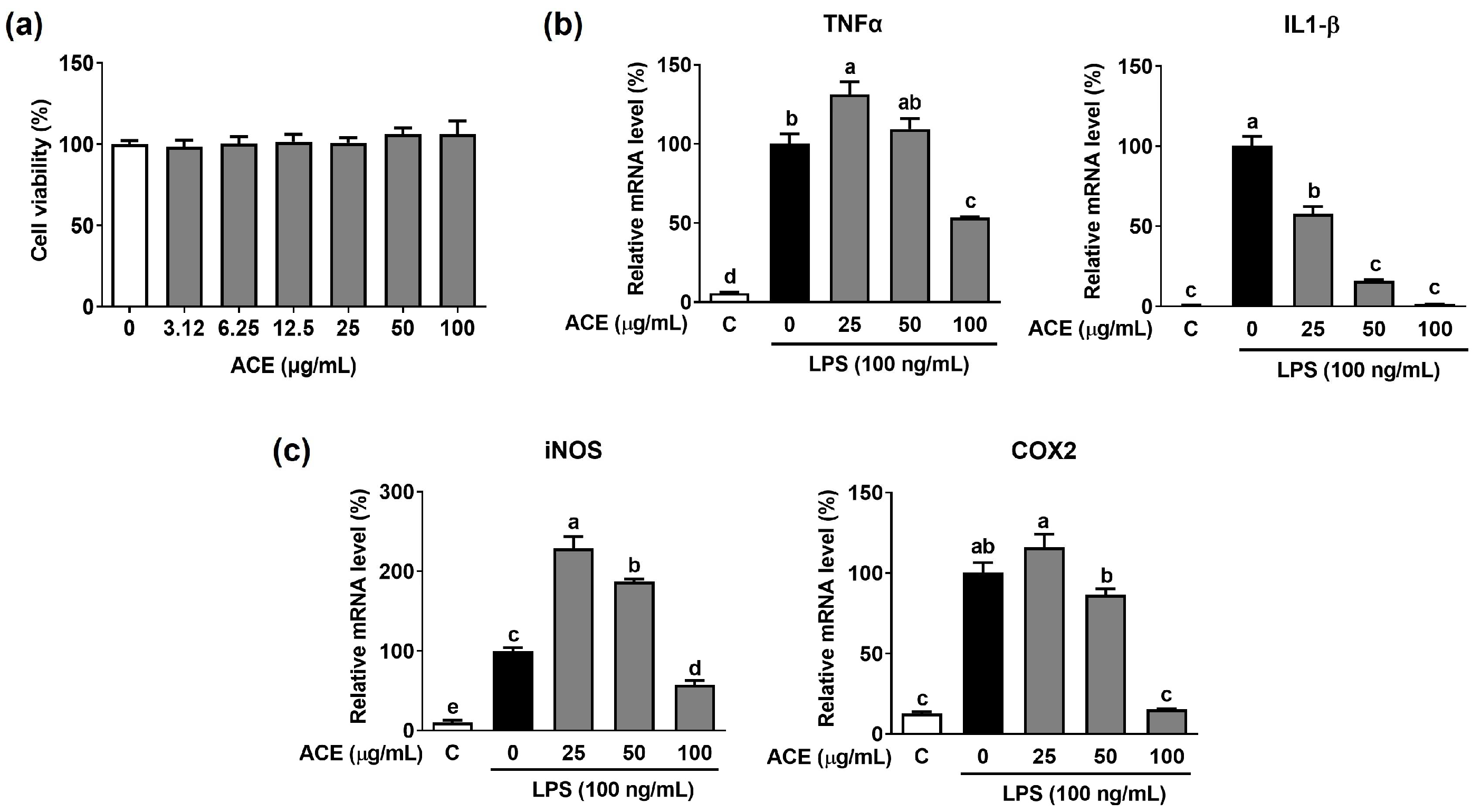 Applsci 13 10048 g001