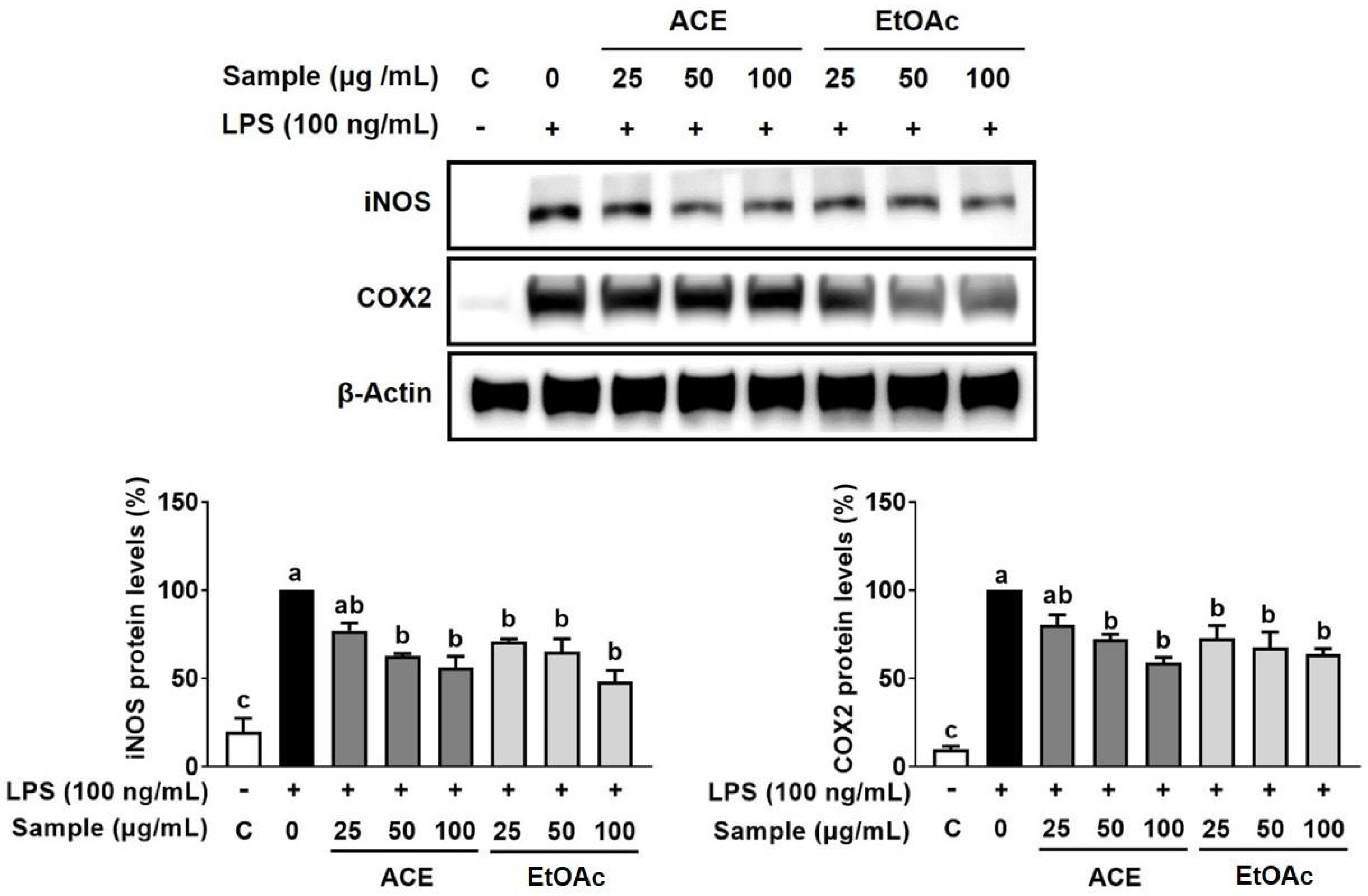 Applsci 13 10048 g002