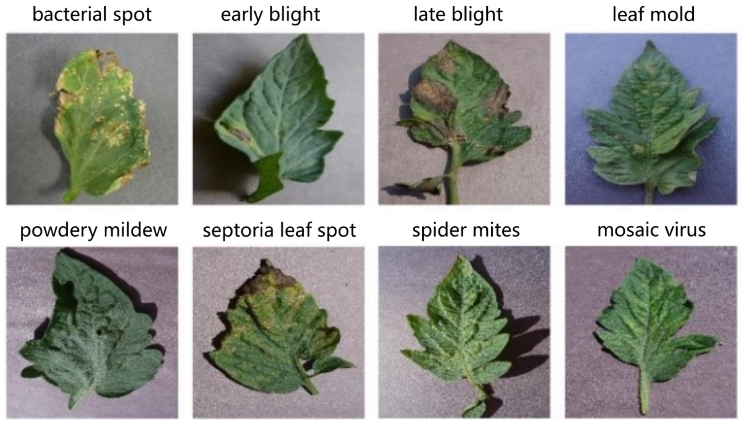 Applsci 13 10063 g009