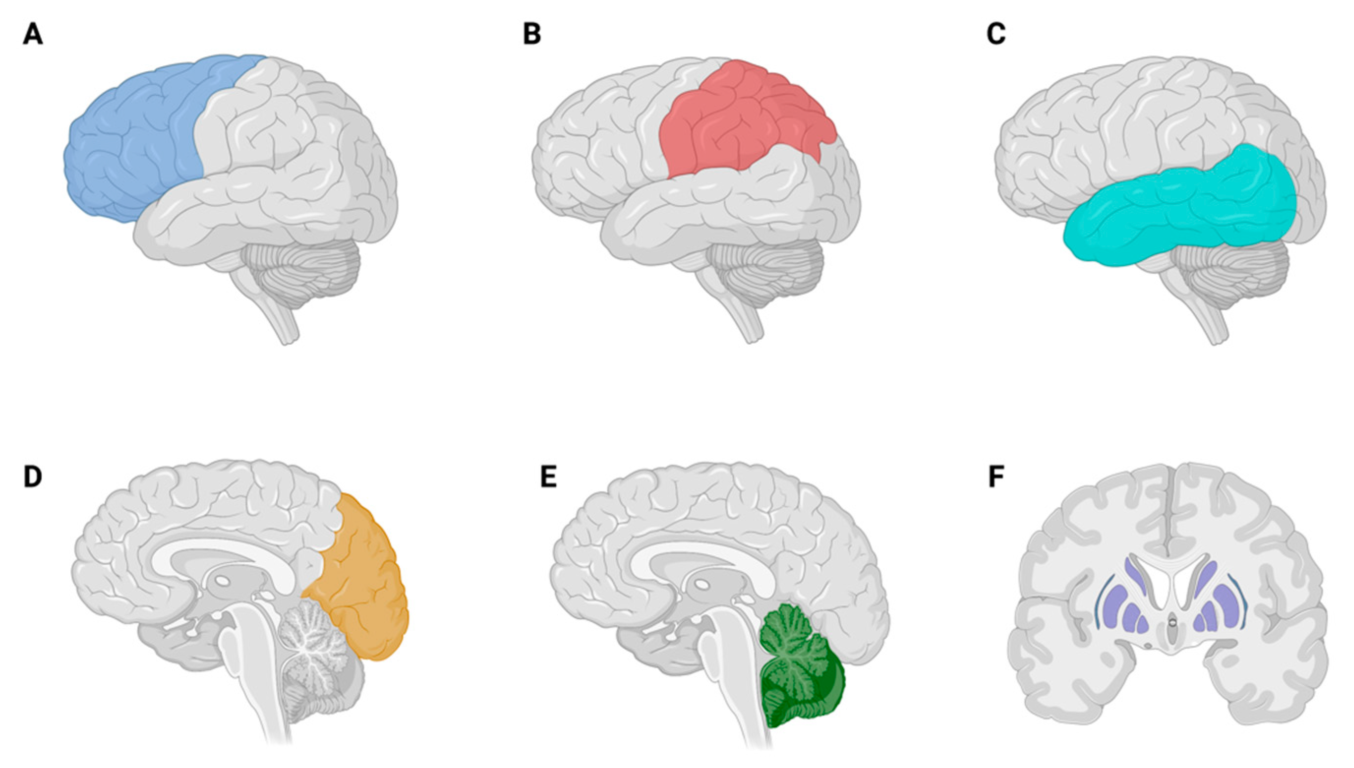 Applsci 13 10097 g003