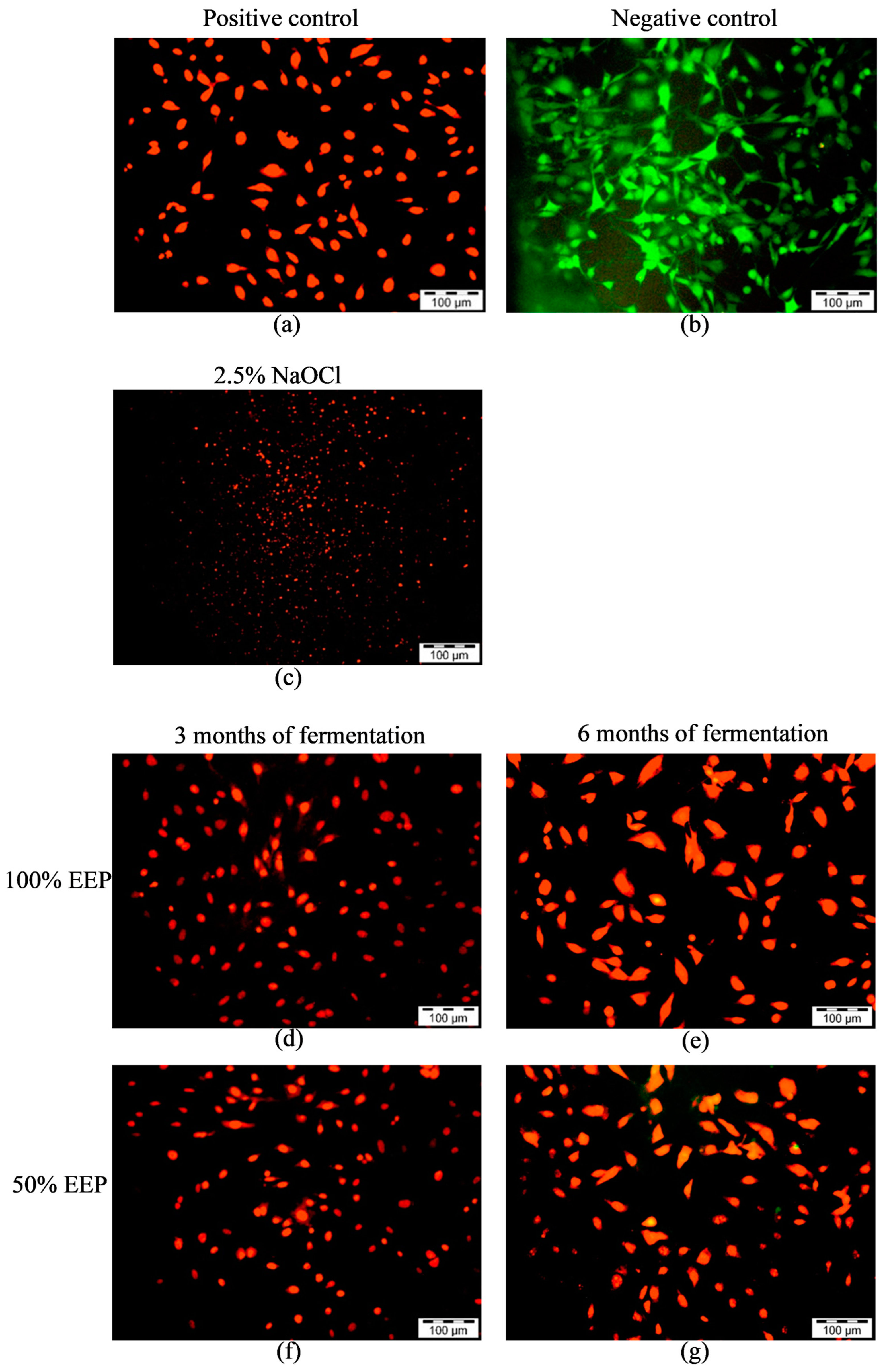 Applsci 13 10125 g004