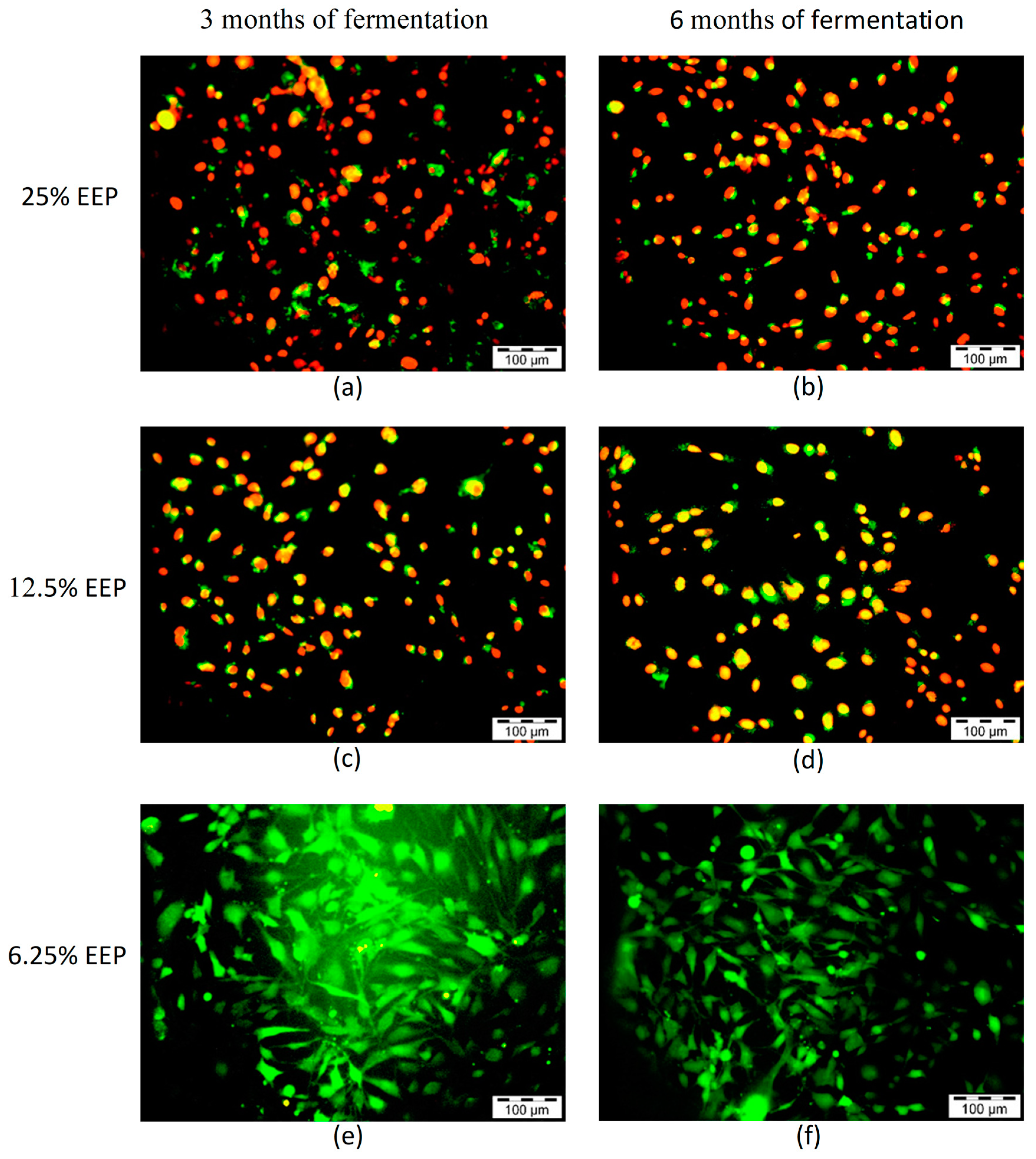 Applsci 13 10125 g005