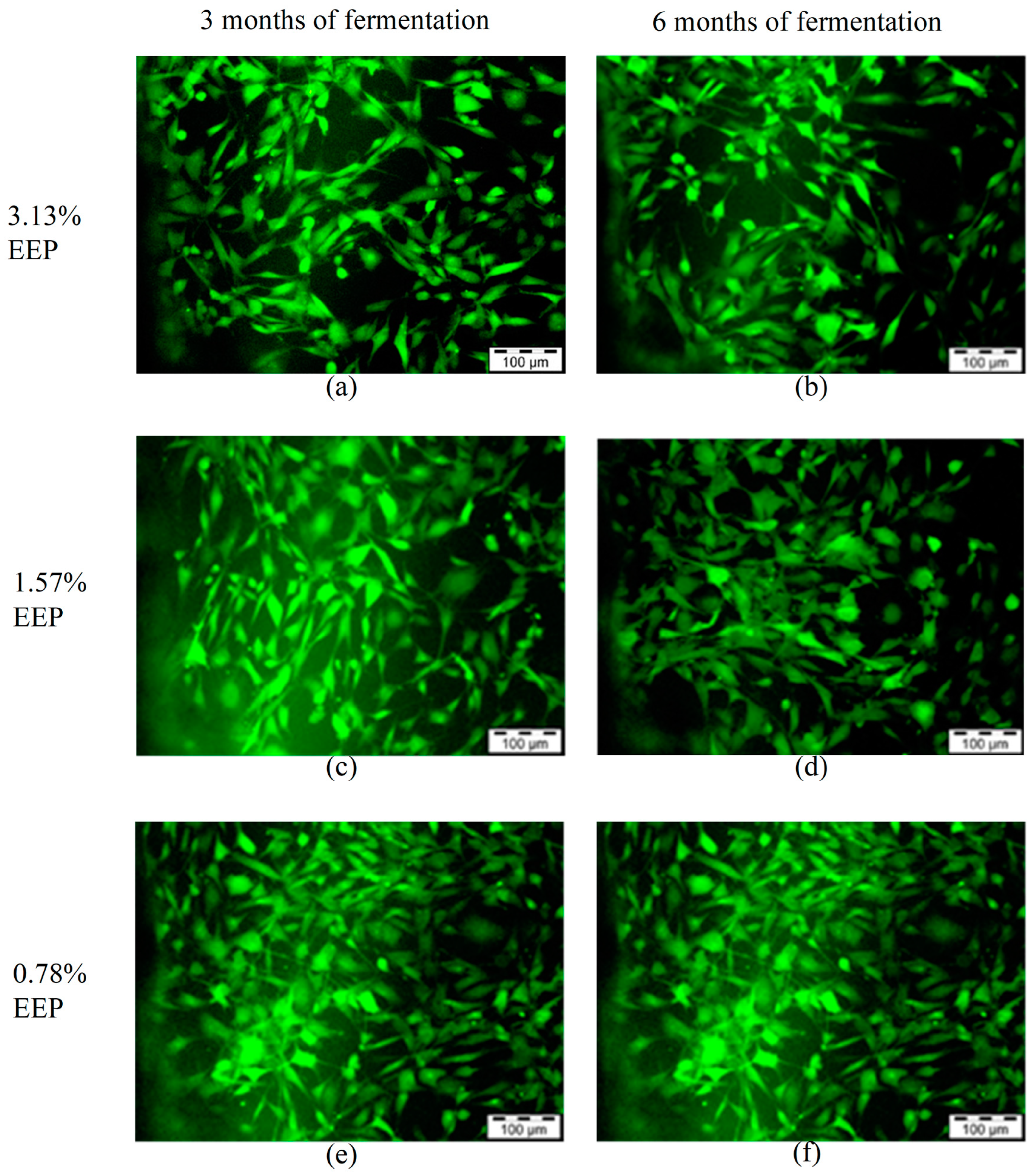 Applsci 13 10125 g006