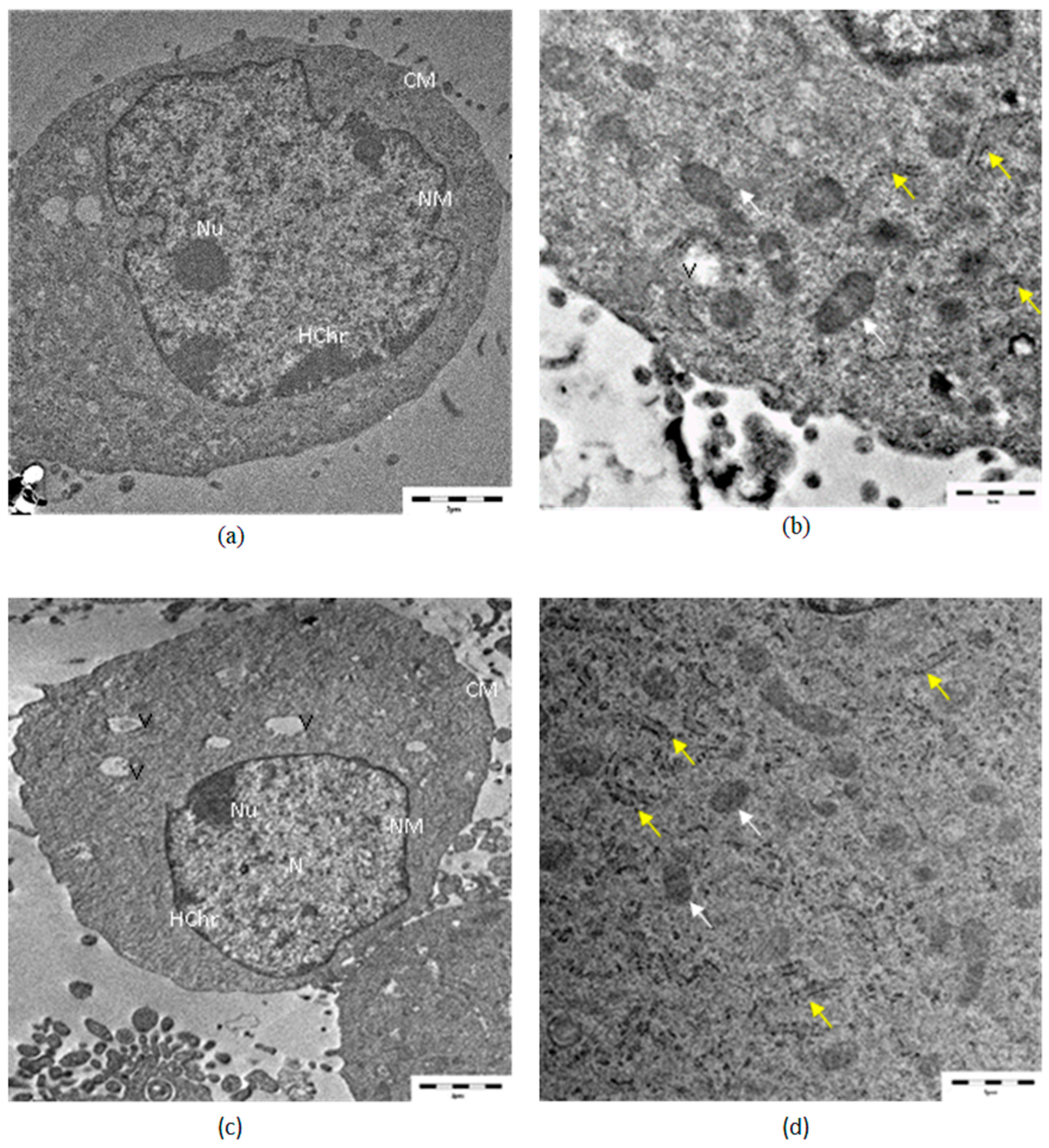 Applsci 13 10125 g008