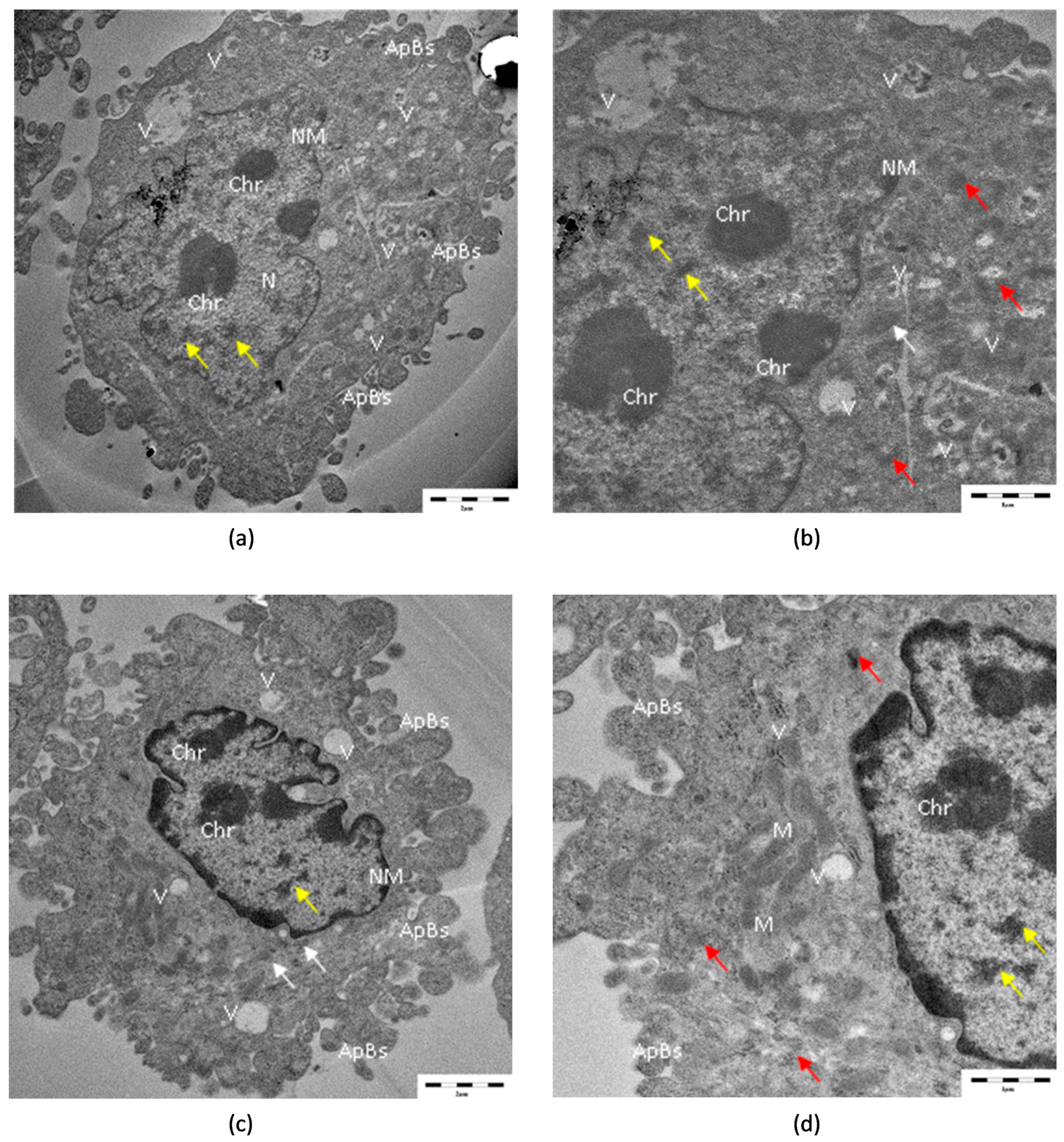Applsci 13 10125 g009