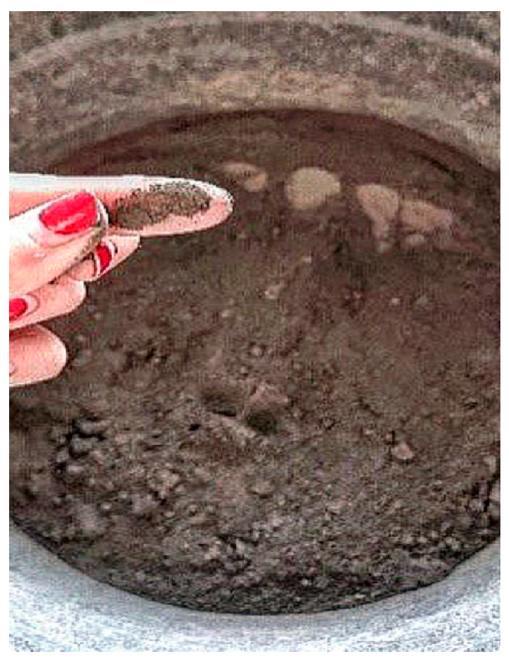 Applsci 13 10126 g004