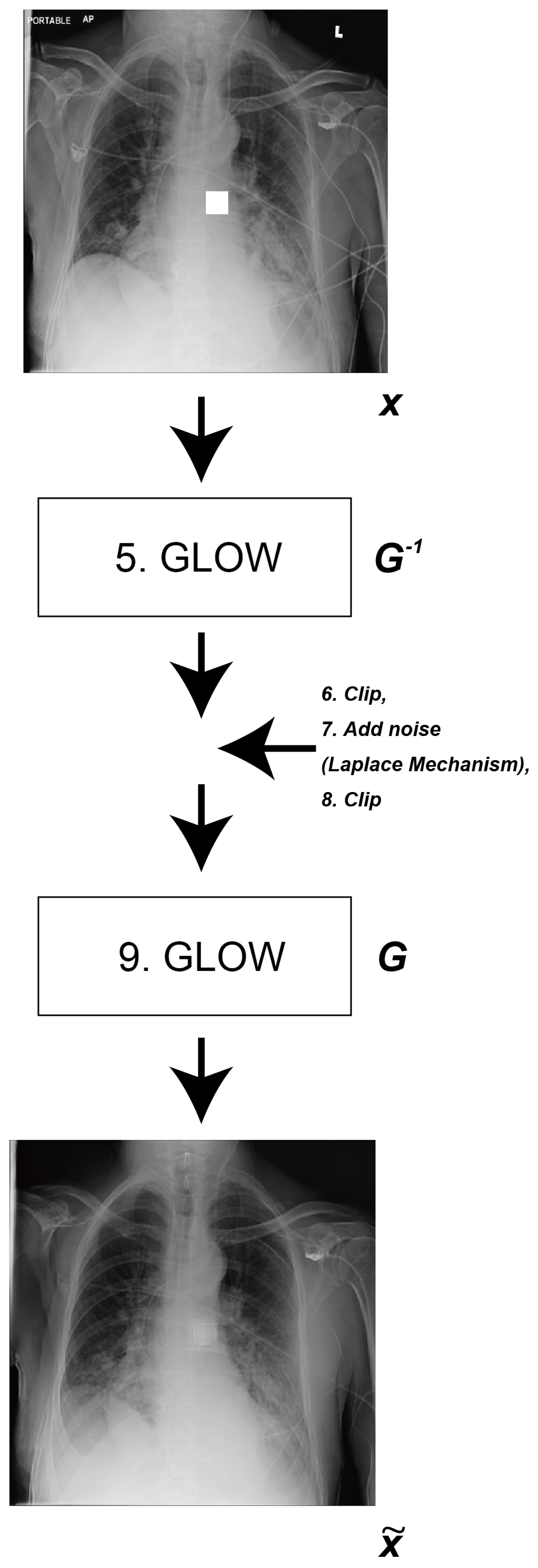 Applsci 13 10132 g001