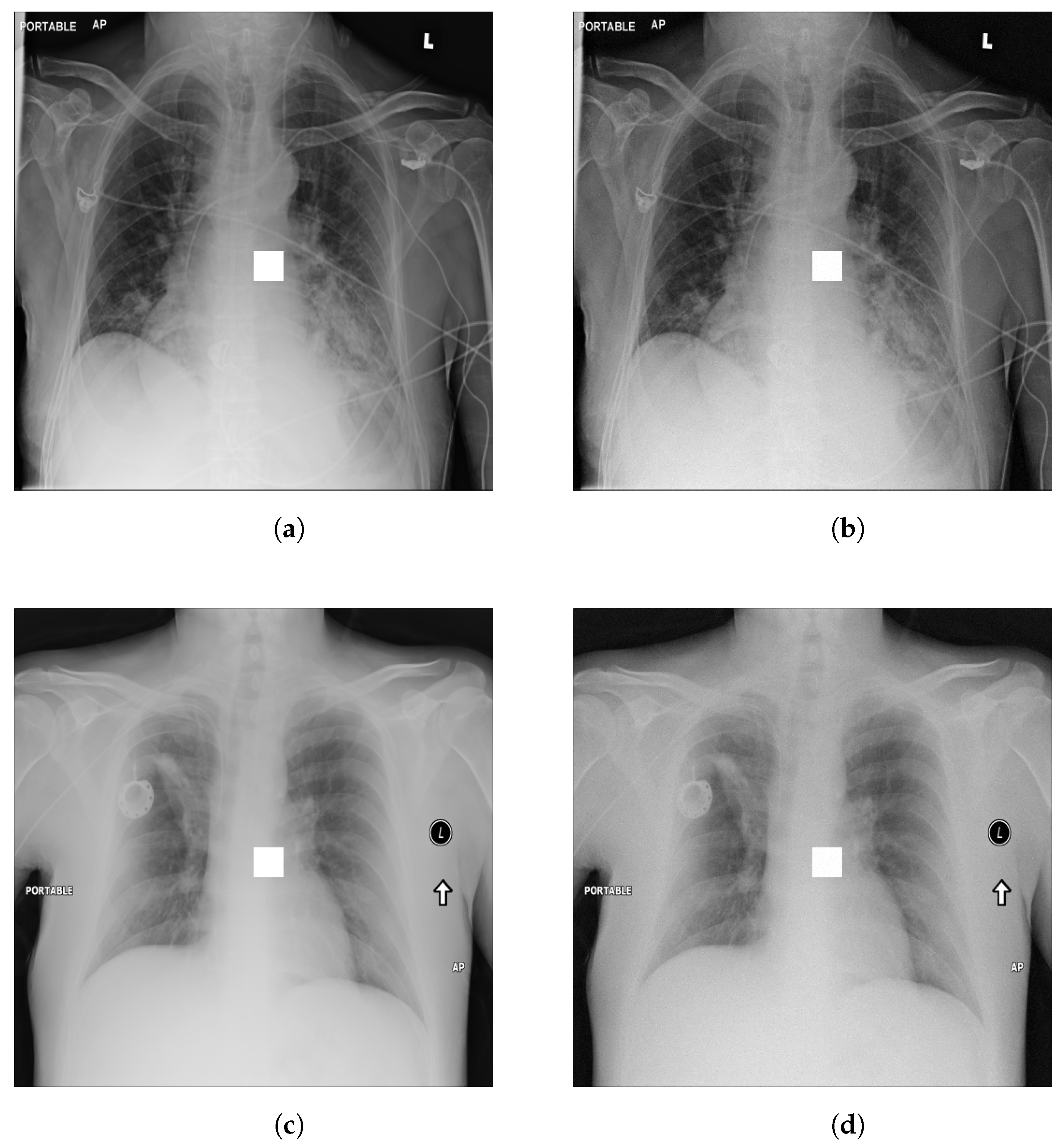 Applsci 13 10132 g004