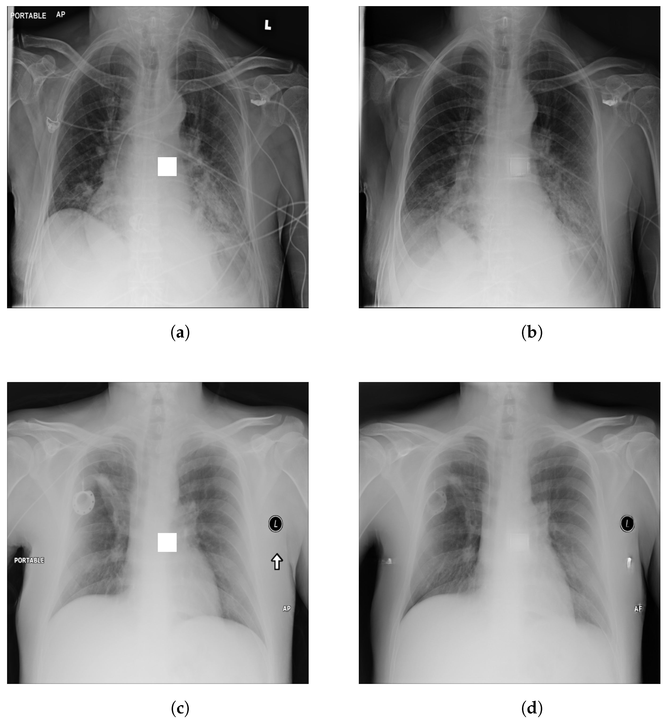 Applsci 13 10132 g006