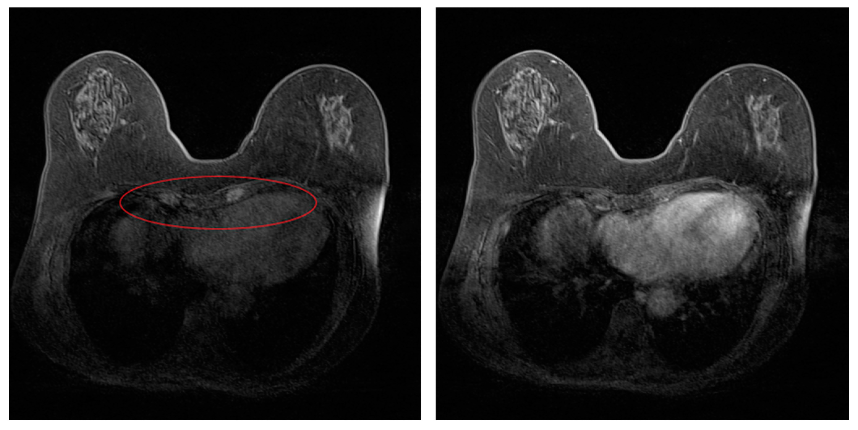 Applsci 13 10160 g002