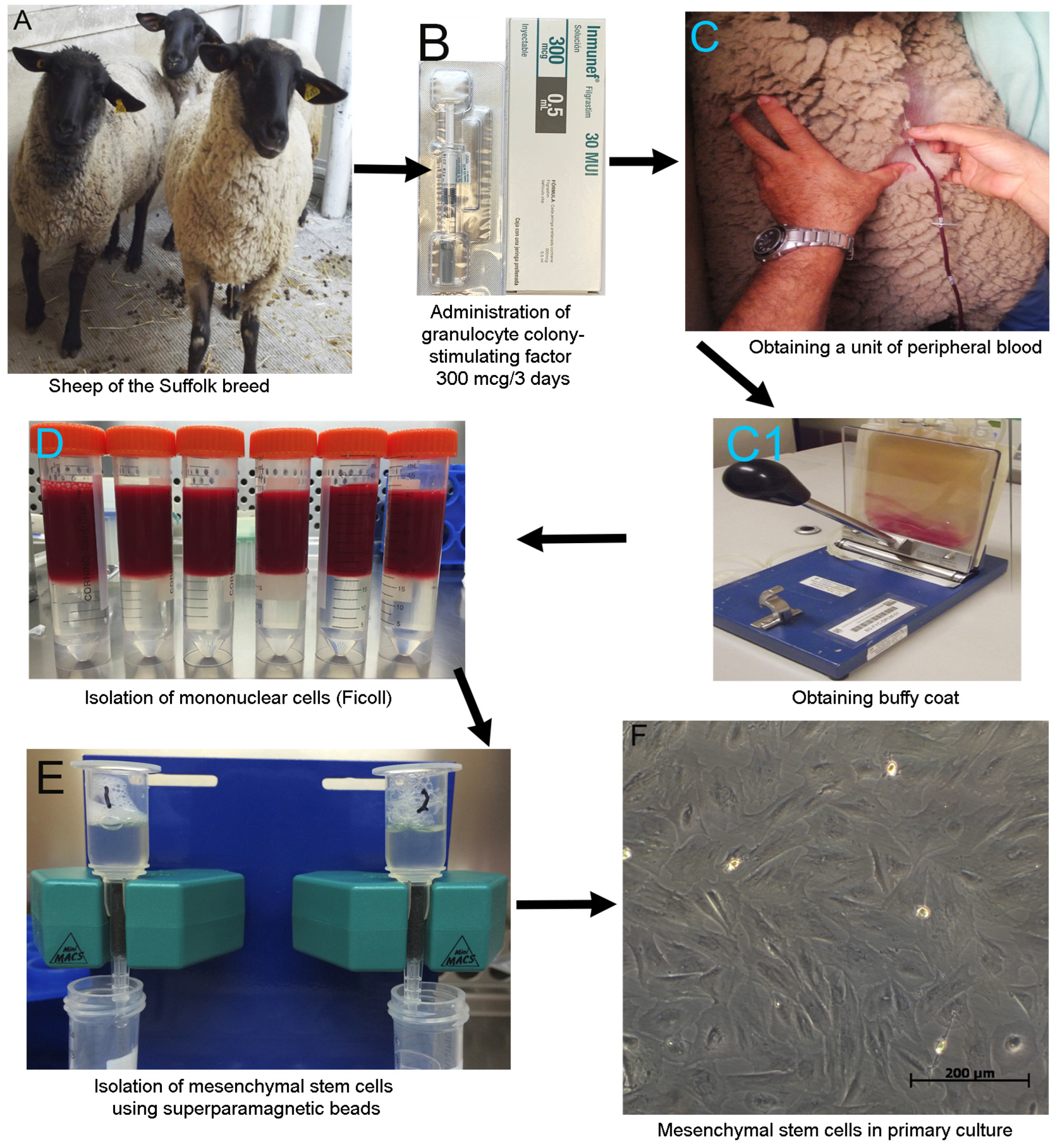 Applsci 13 10177 g001