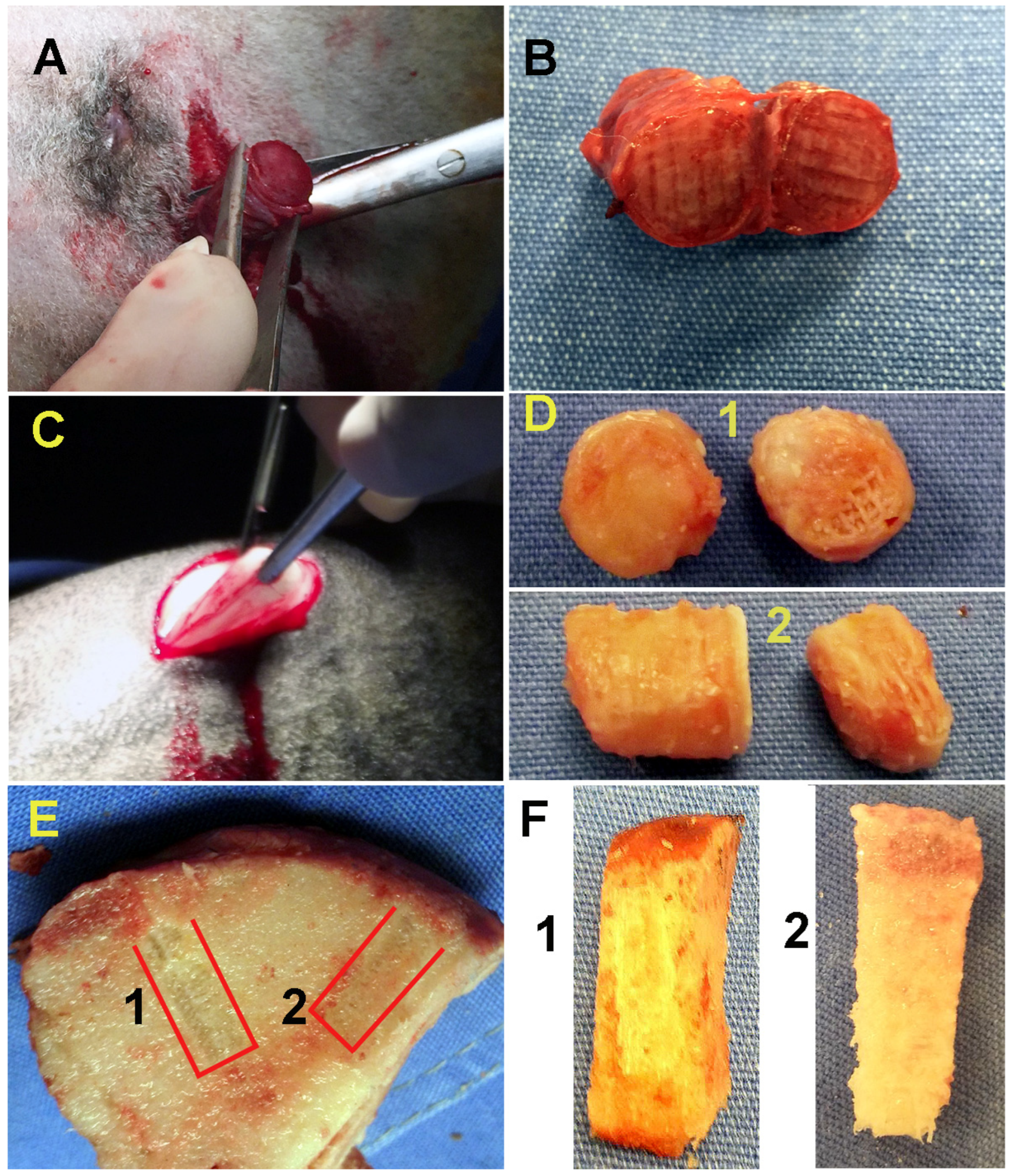 Applsci 13 10177 g003