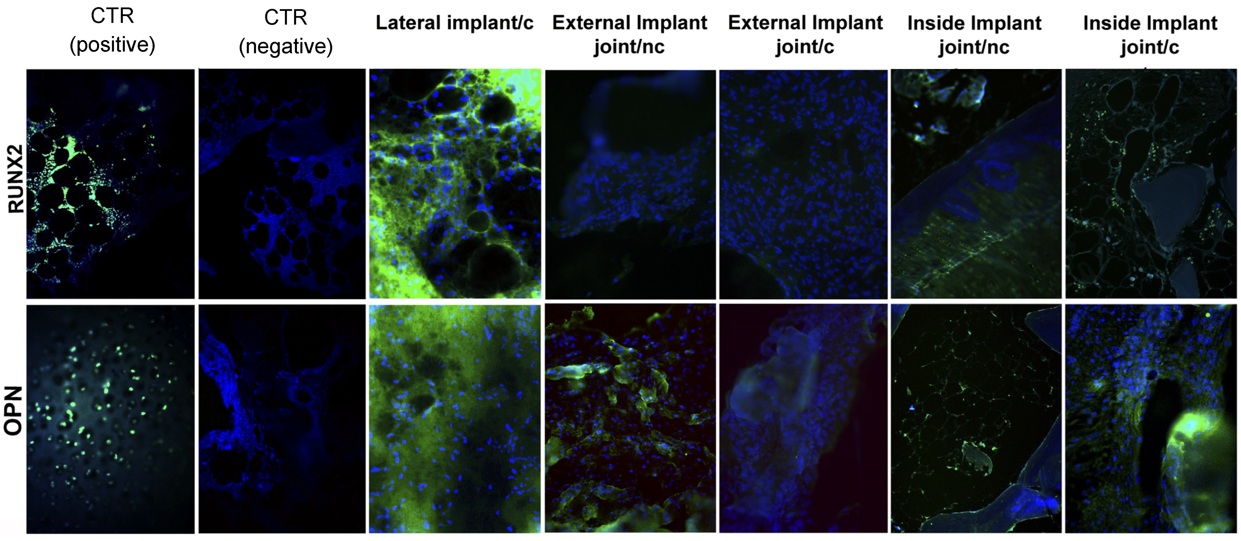 Applsci 13 10177 g004