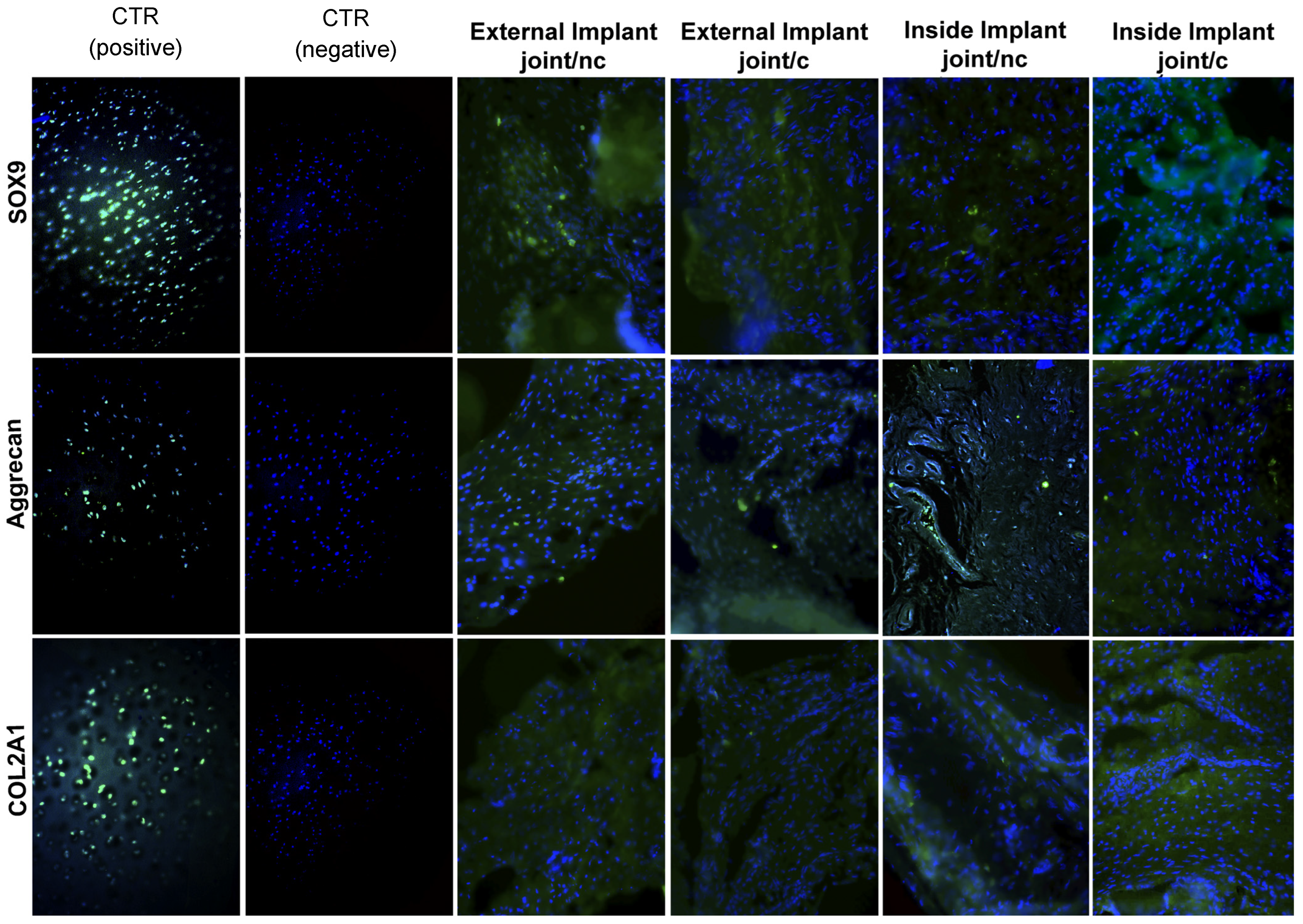 Applsci 13 10177 g006