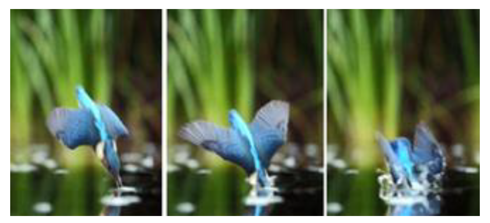 Applsci 13 10201 g001