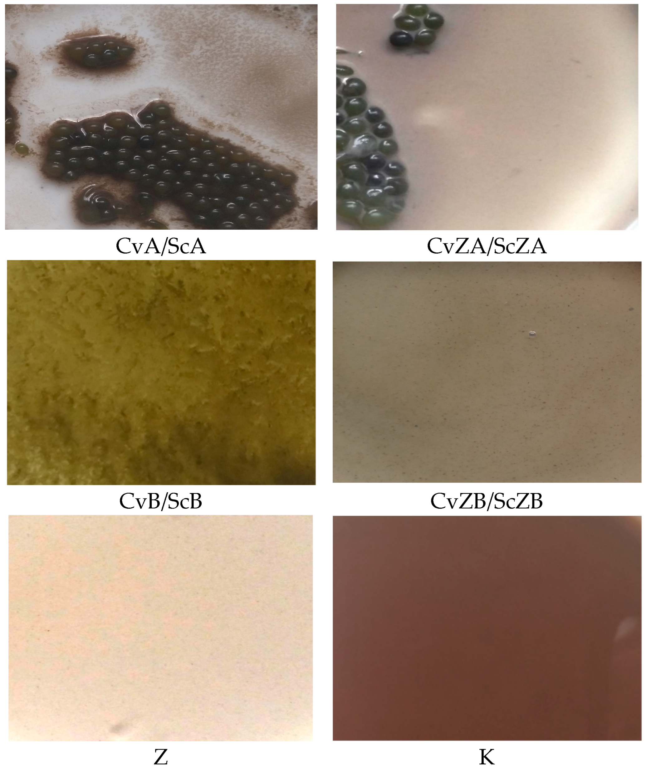 Applsci 13 10220 g003