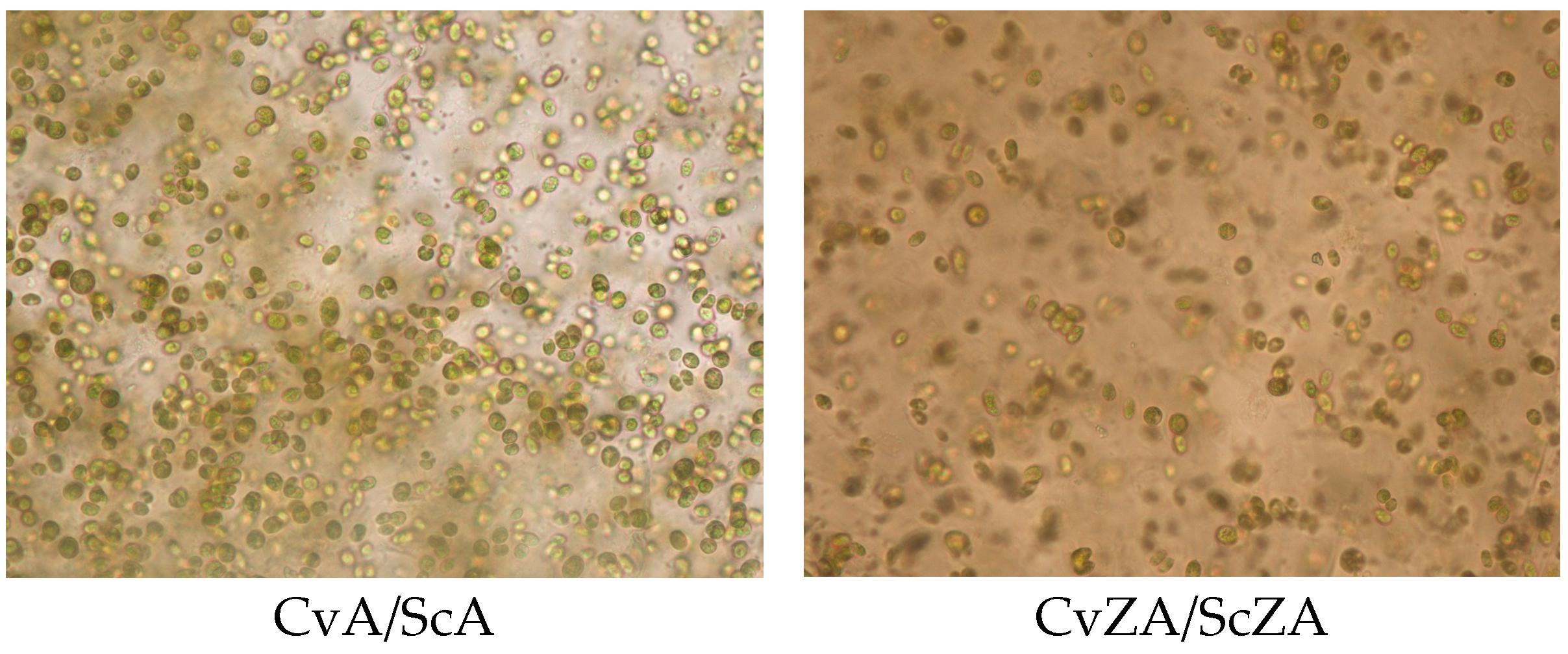 Applsci 13 10220 g004a