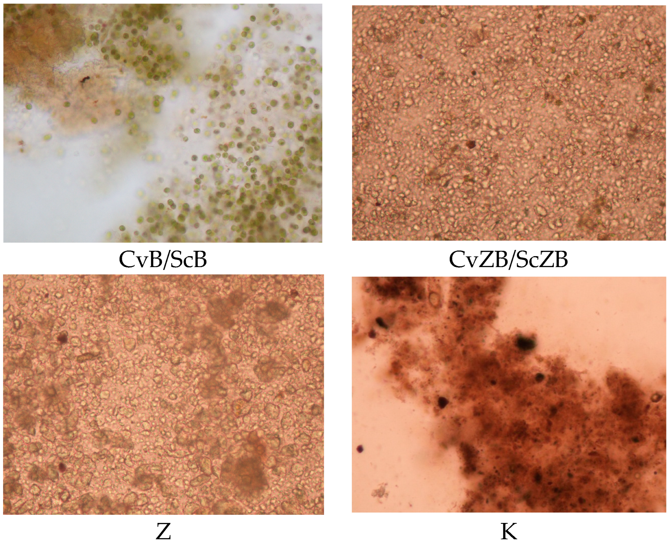 Applsci 13 10220 g004b