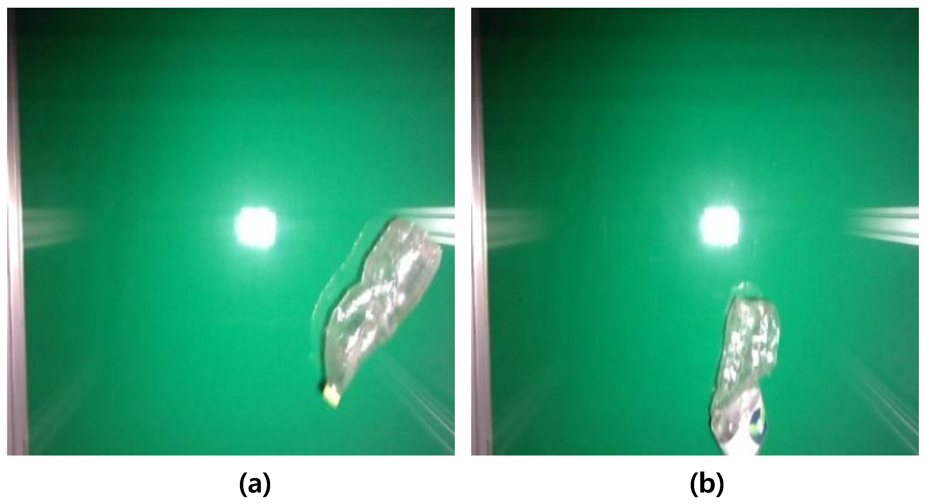 Applsci 13 10224 g004