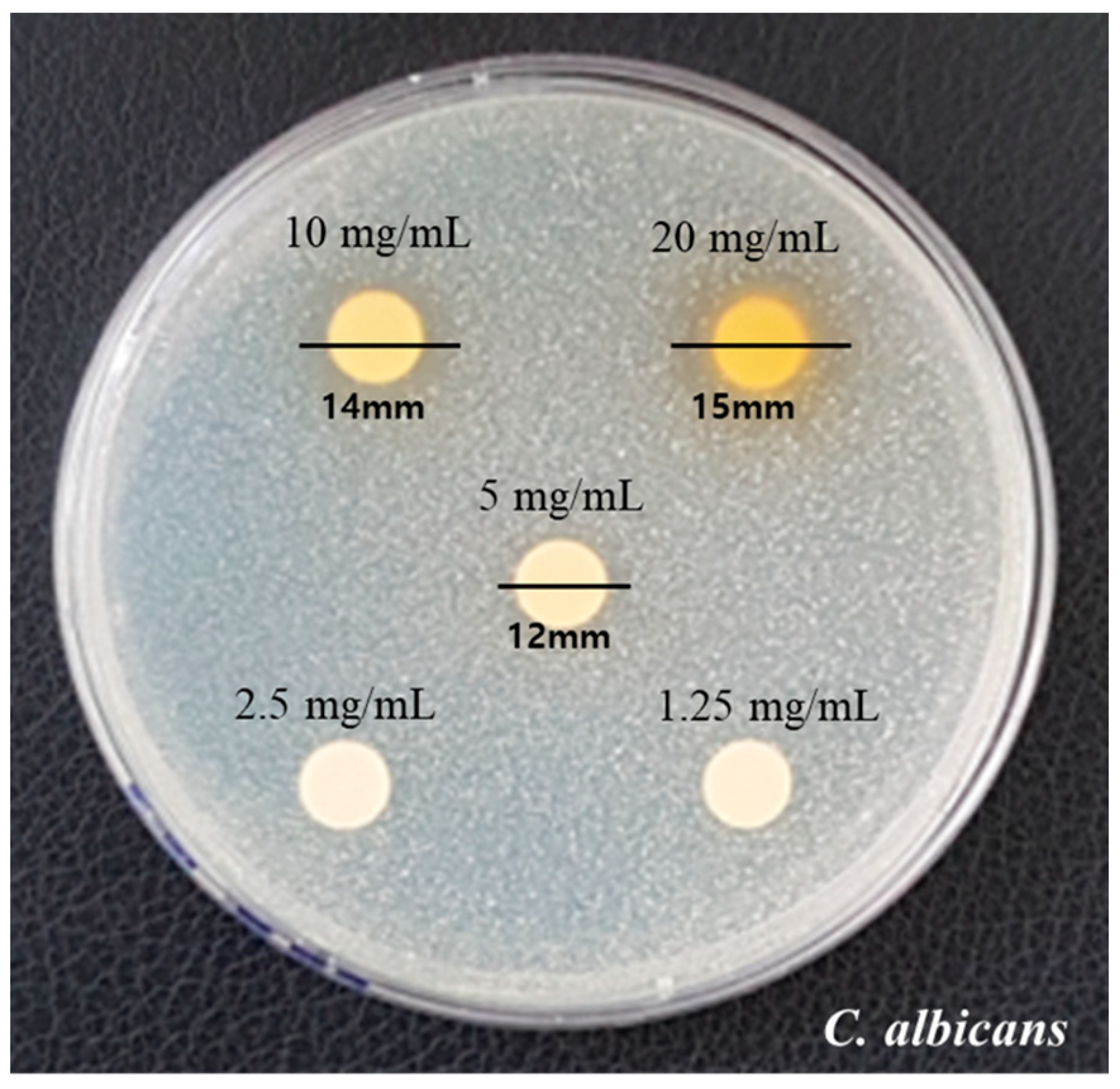 Applsci 13 10236 g001