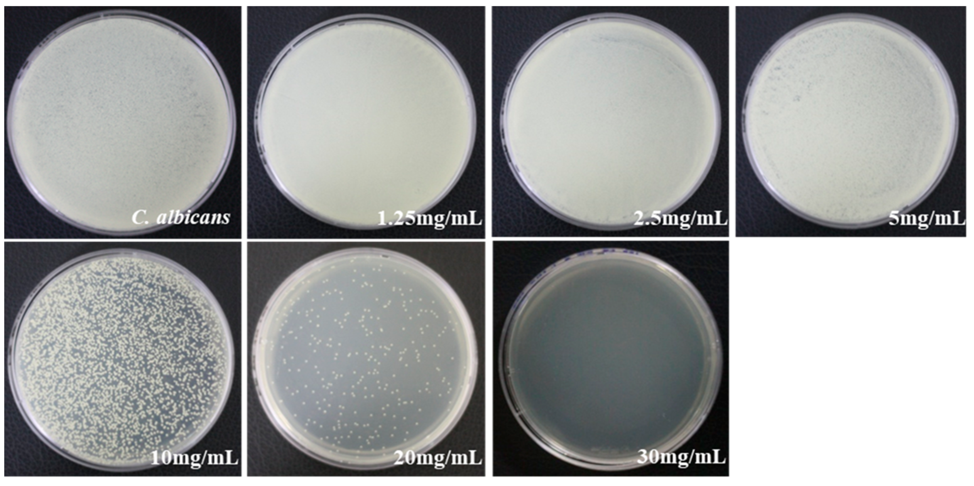 Applsci 13 10236 g003