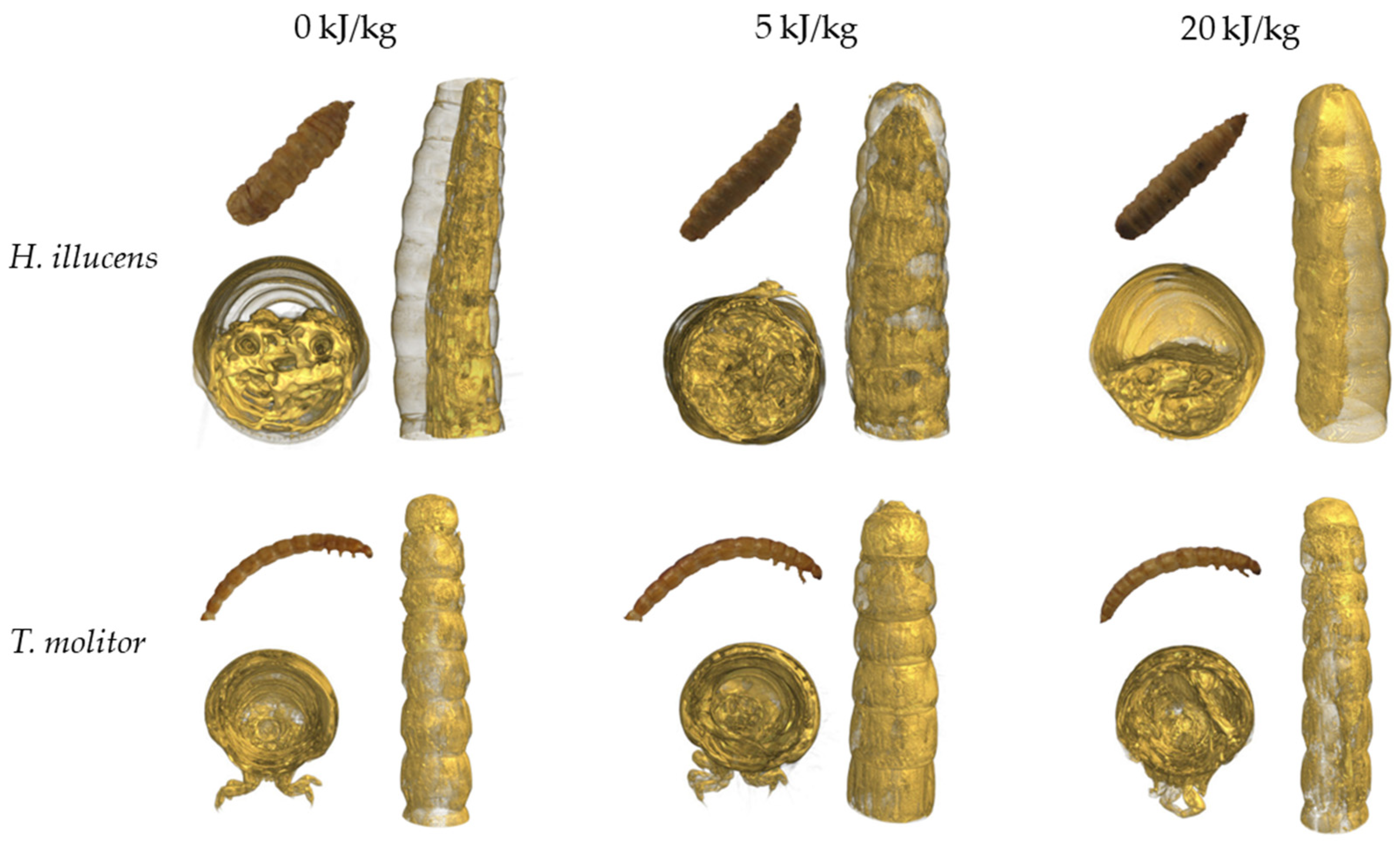 Applsci 13 10251 g003