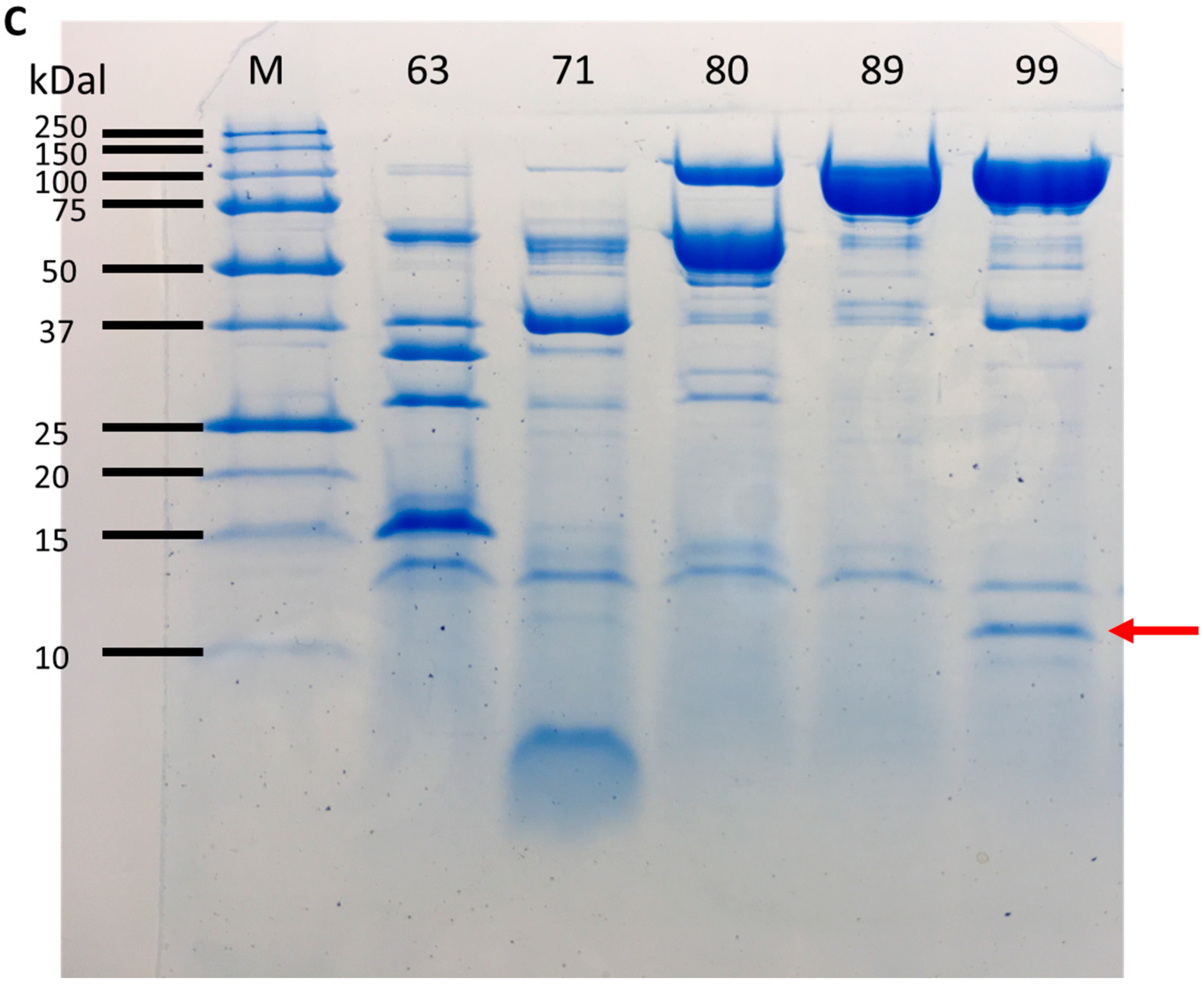 Applsci 13 10257 g006b Applsci 13 10257 g006b