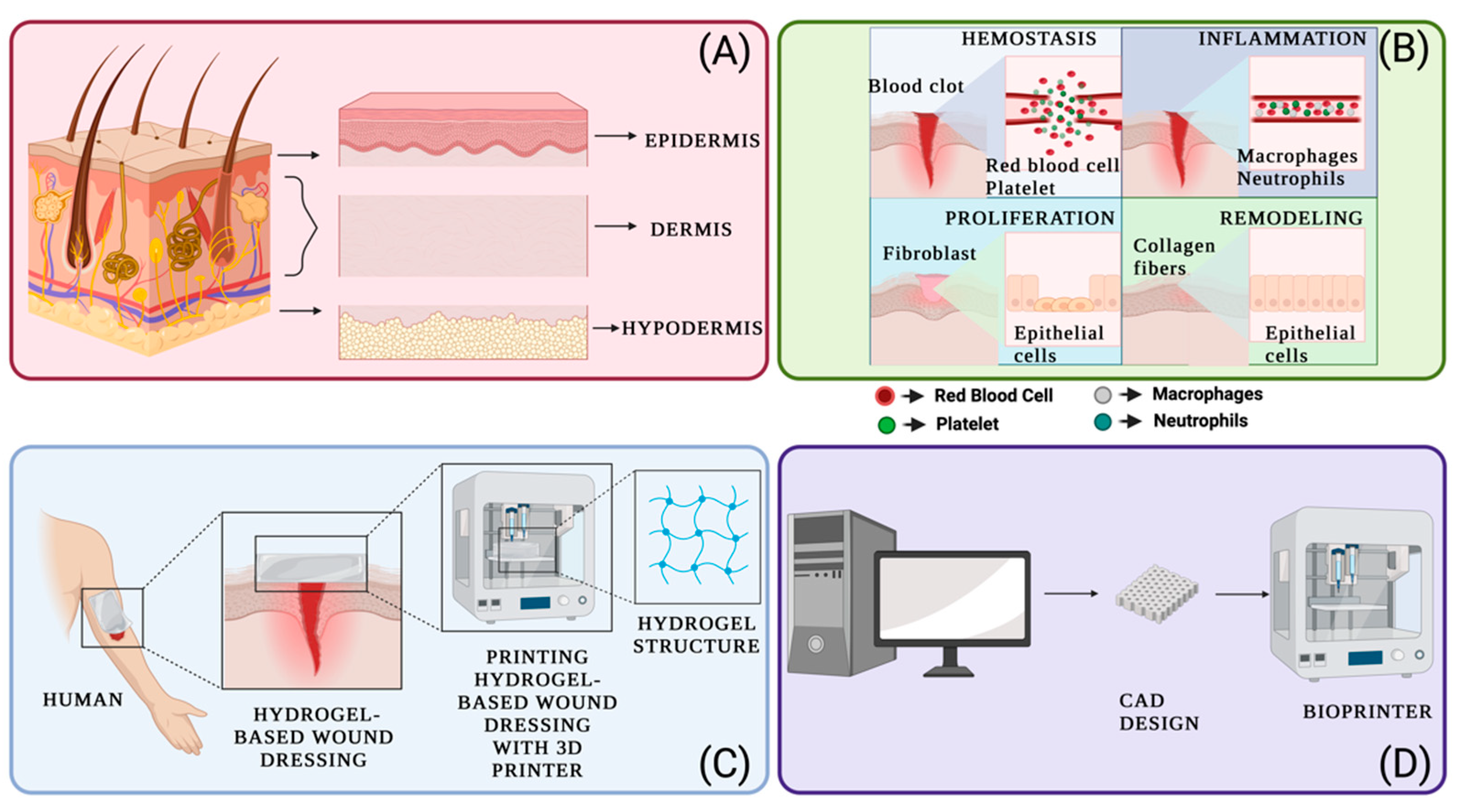 Applsci 13 10269 g001