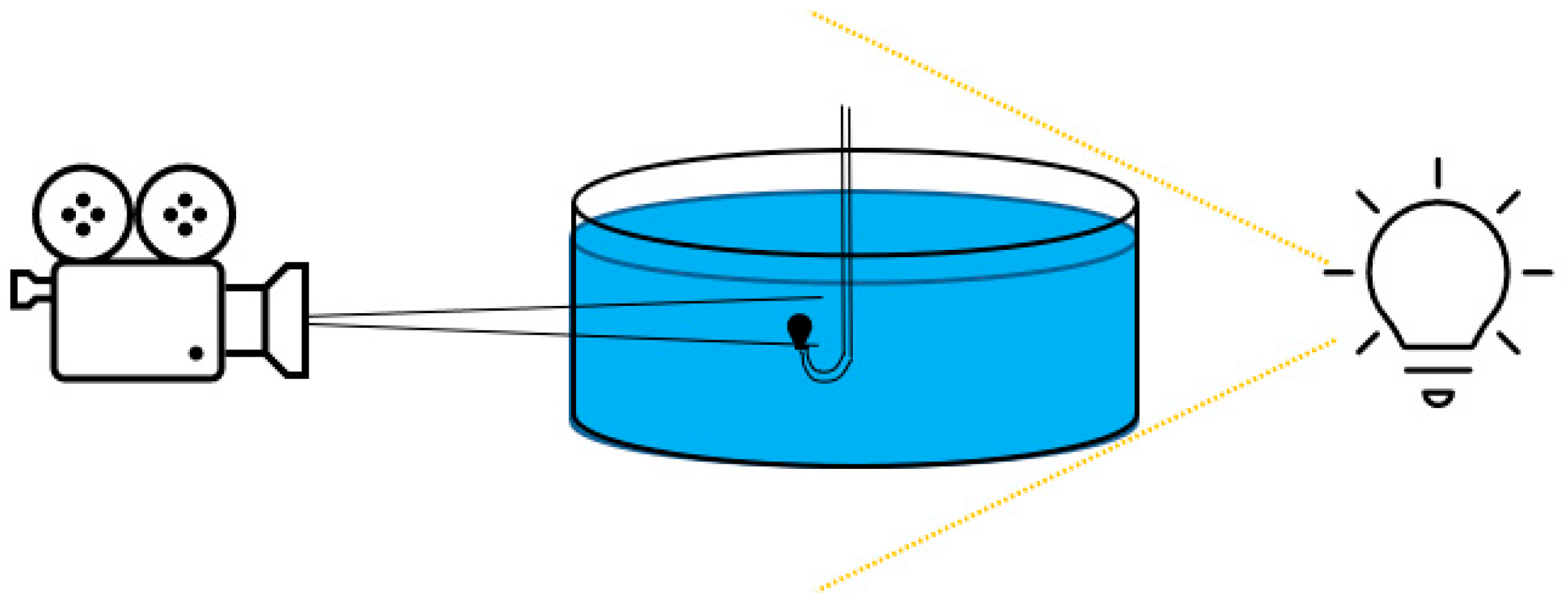 Applsci 13 10307 g001