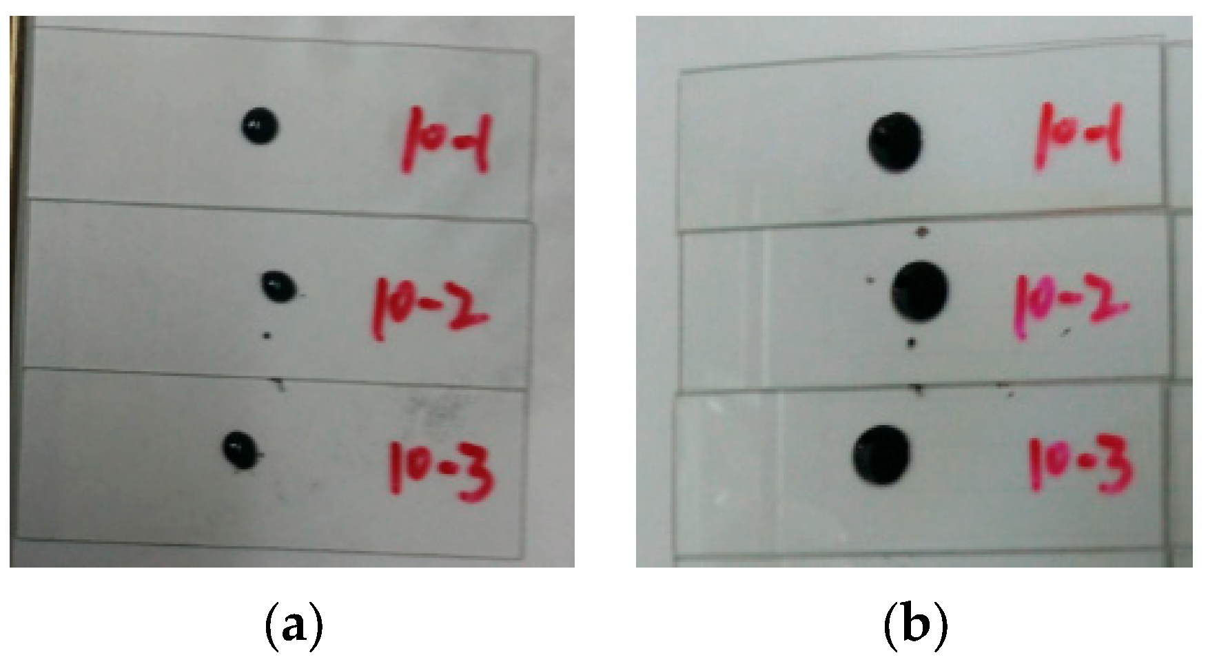 Applsci 13 10308 g002