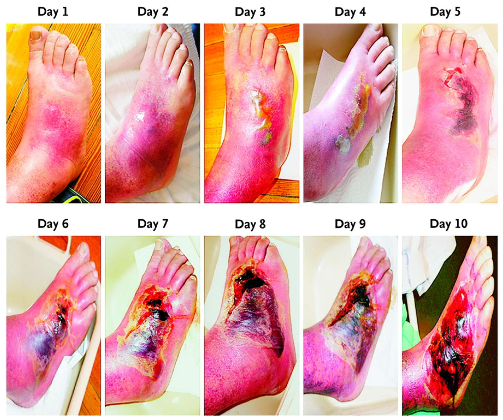 Applsci 13 10310 g001