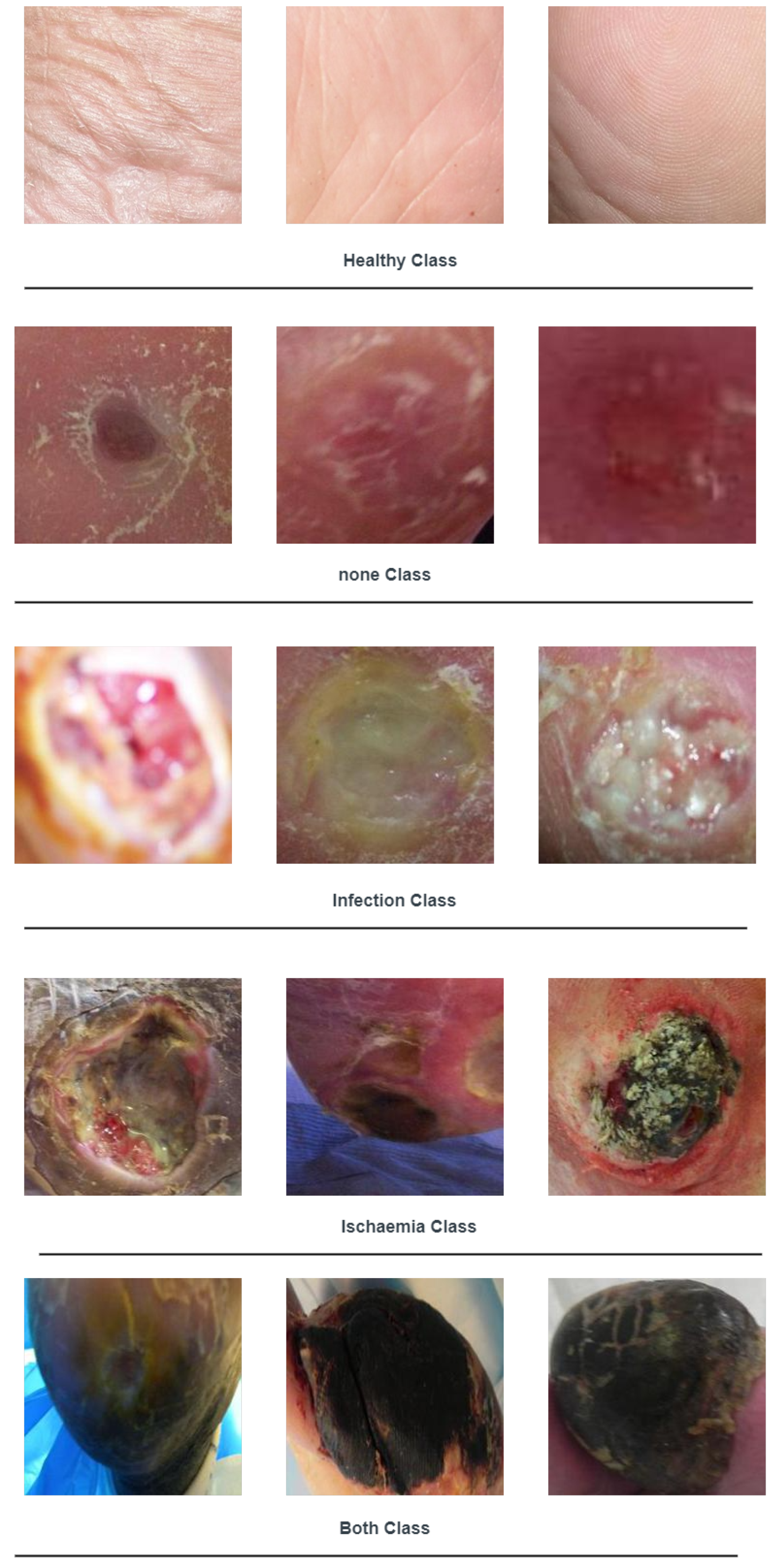 Applsci 13 10310 g010