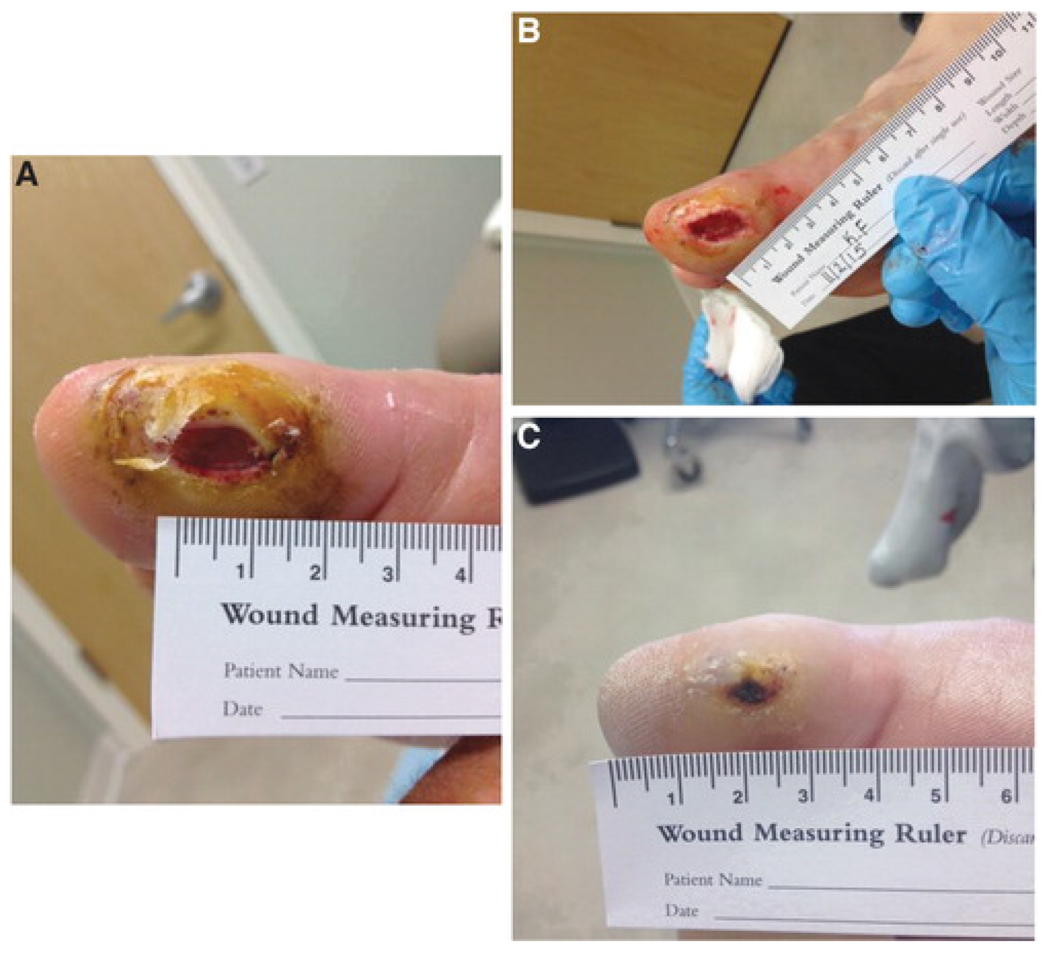 Applsci 13 10310 g011