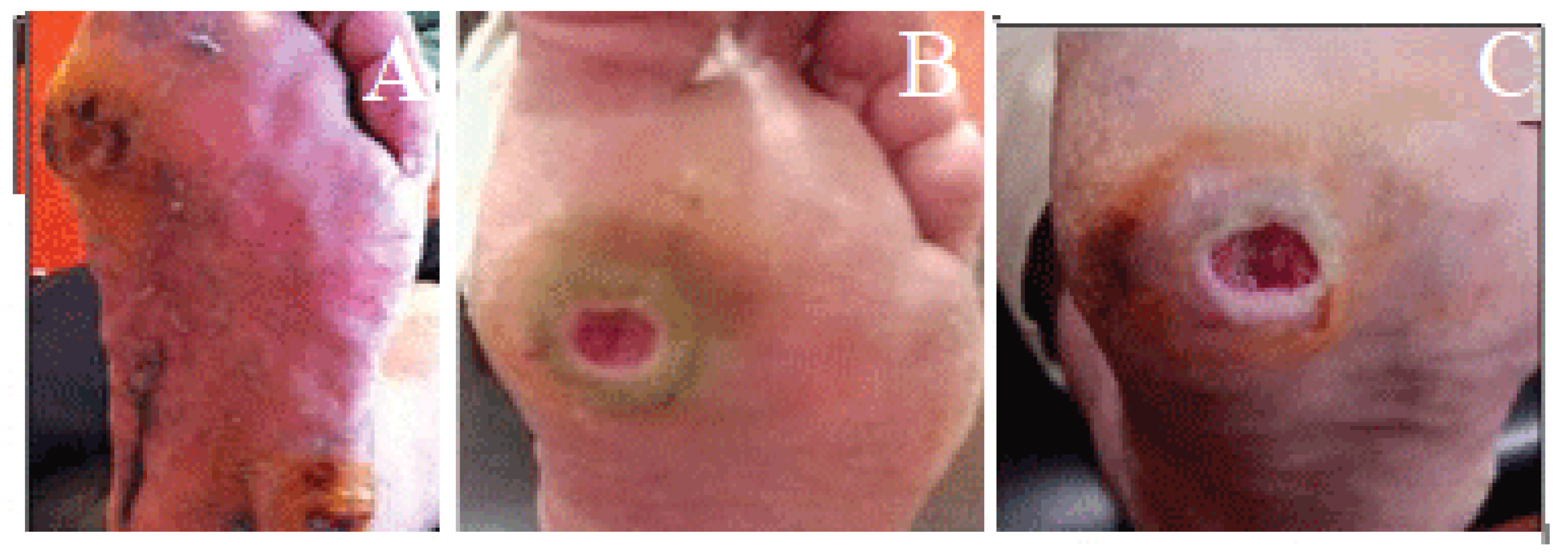 Applsci 13 10310 g014