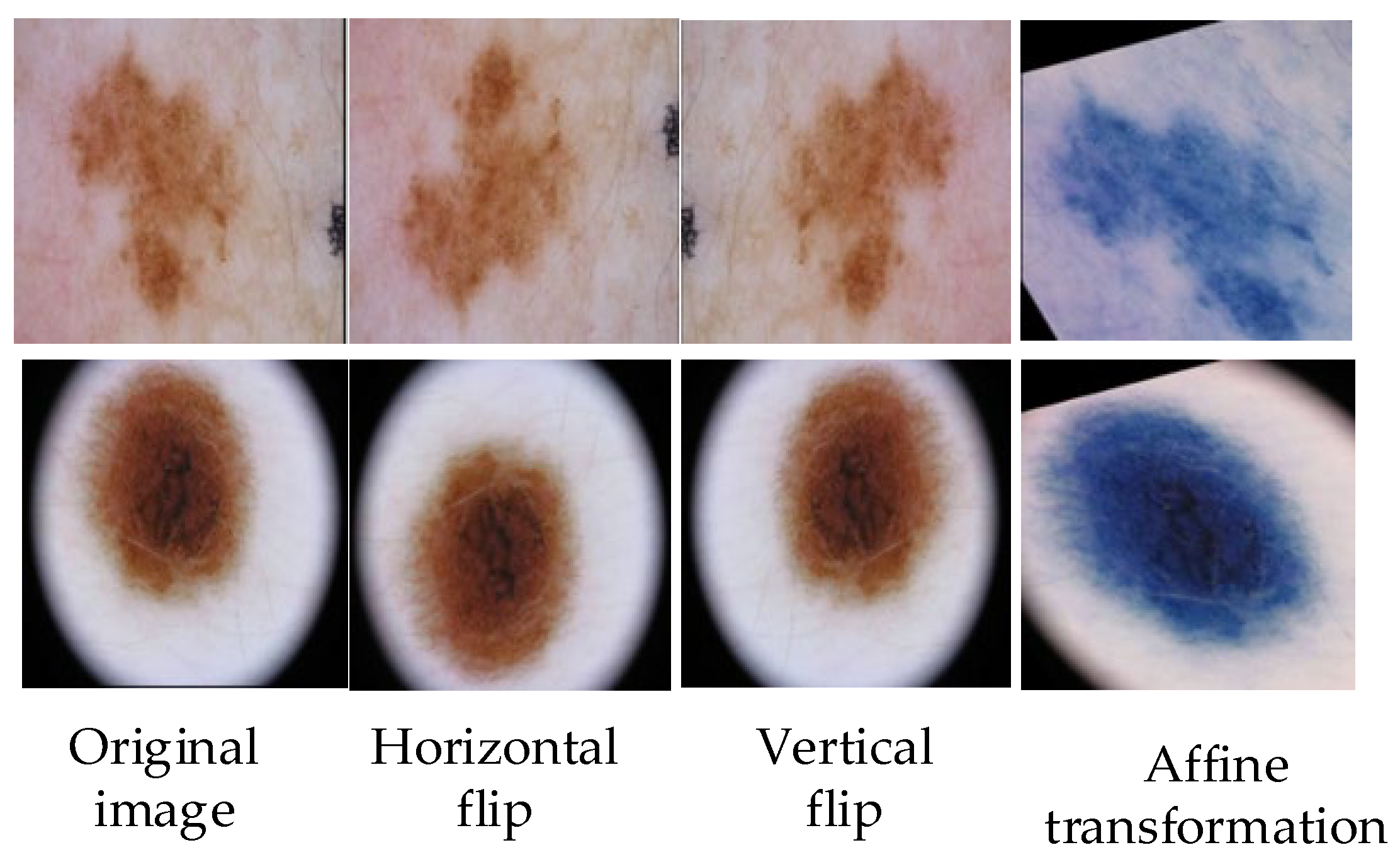 Applsci 13 10315 g002