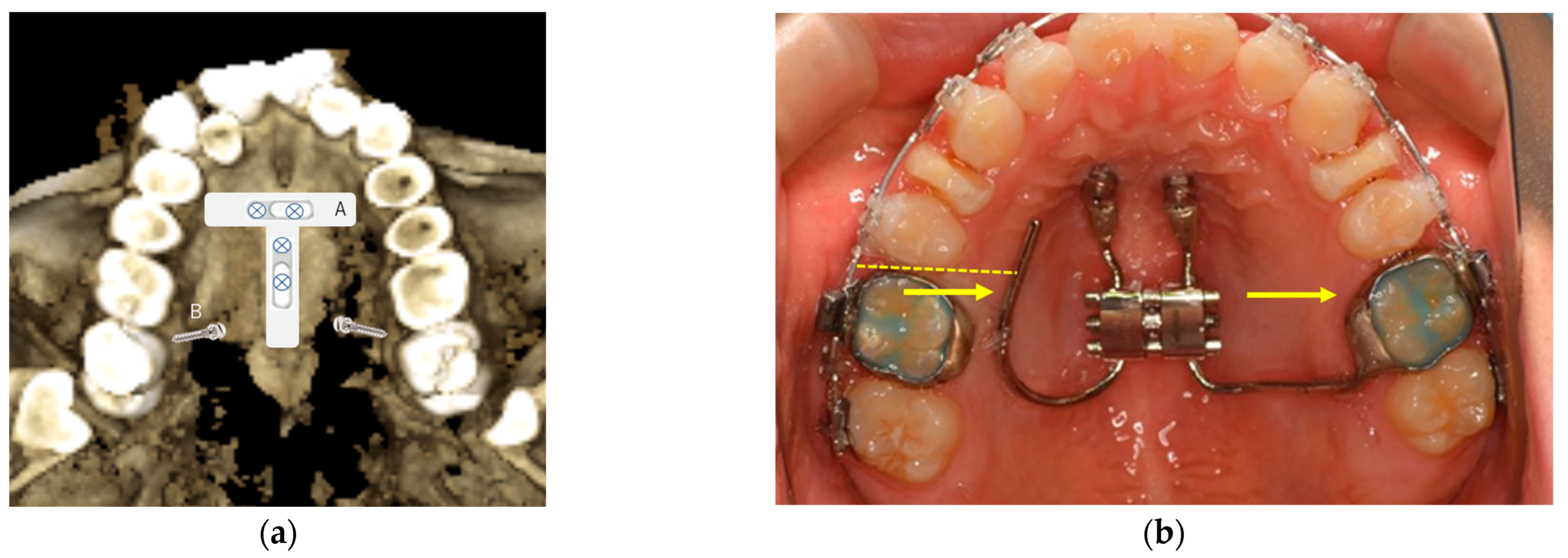 Applsci 13 10332 g001