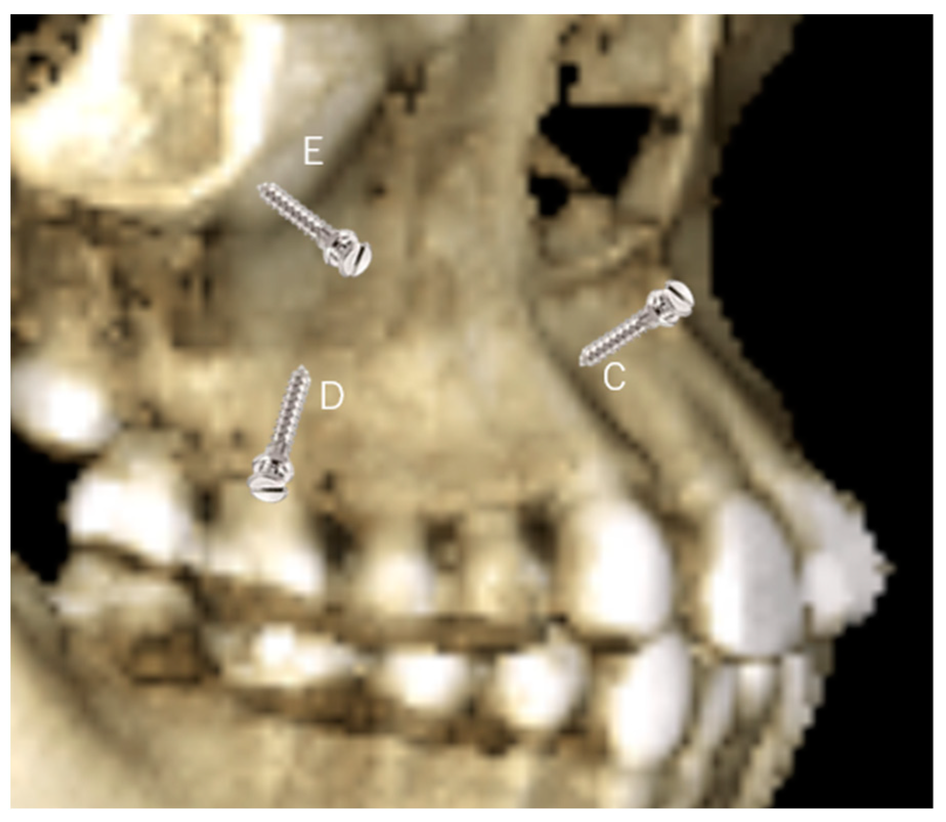 Applsci 13 10332 g002