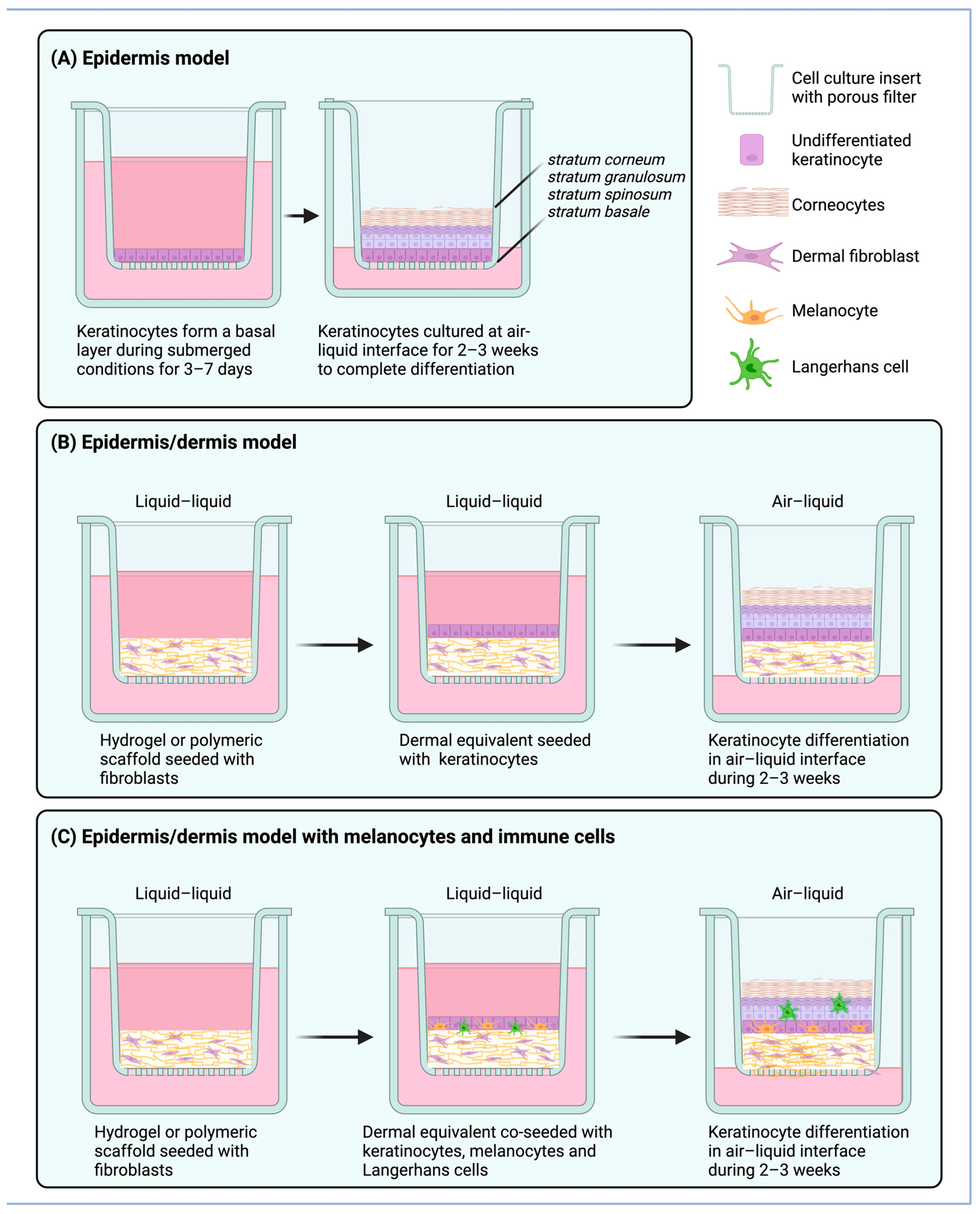 Applsci 13 10349 g001 Applsci 13 10349 g001