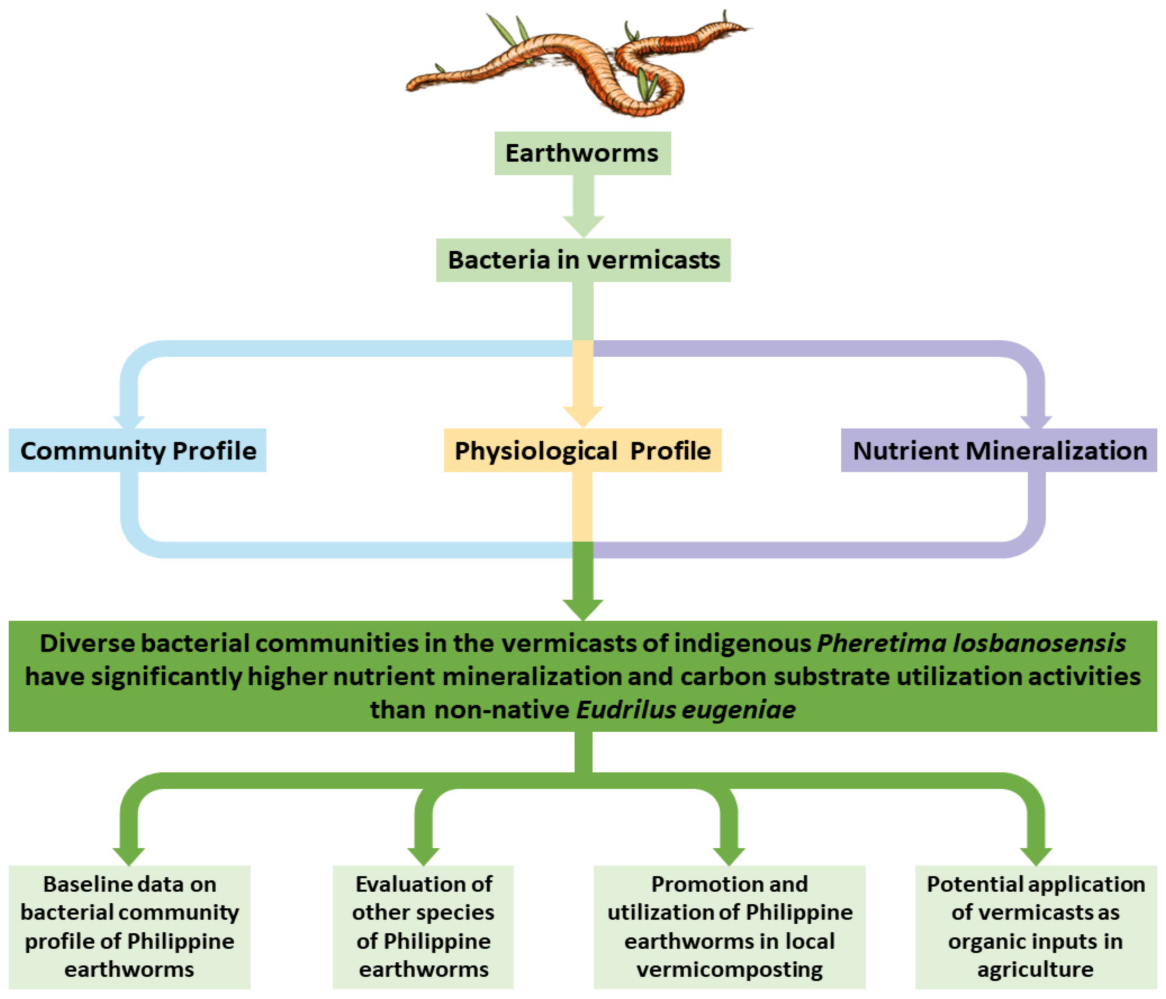 Applsci 13 10364 g001 Applsci 13 10364 g001