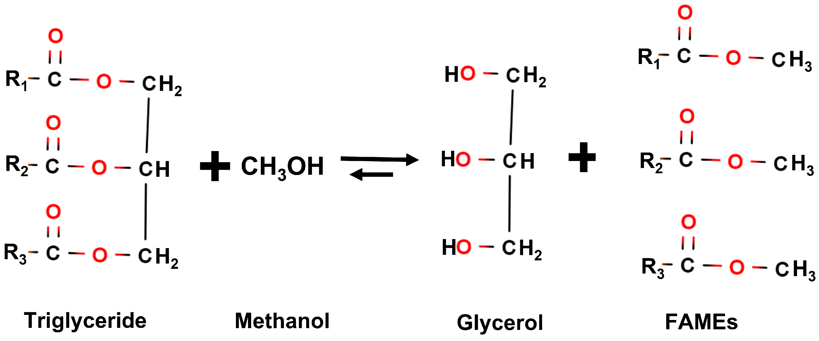 Applsci 13 10376 g002