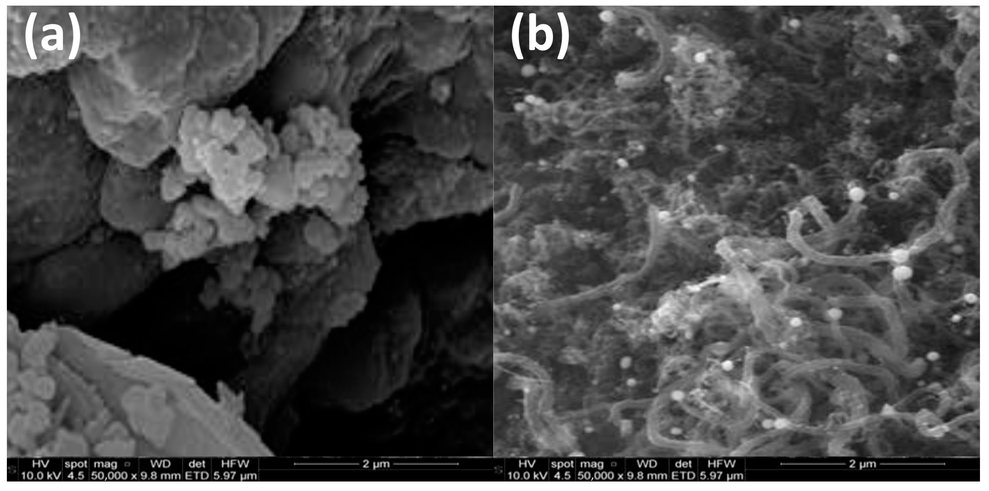 Applsci 13 10376 g011