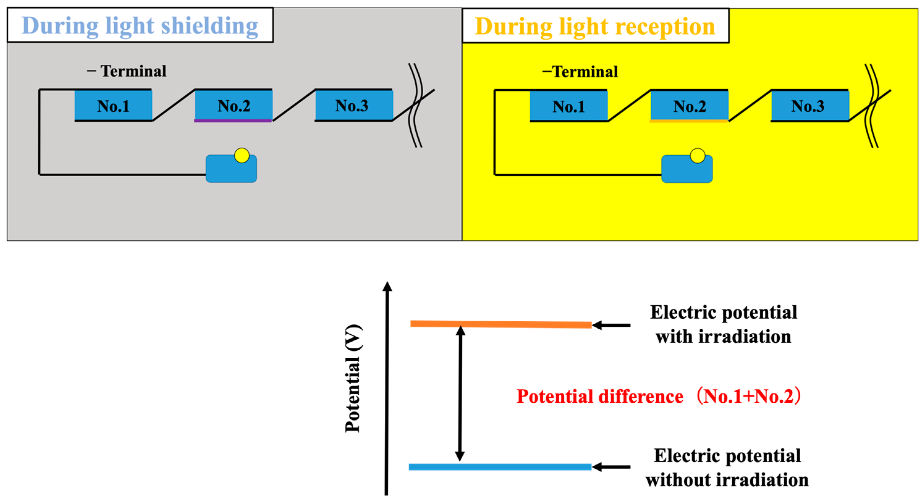 Applsci 13 10391 g012
