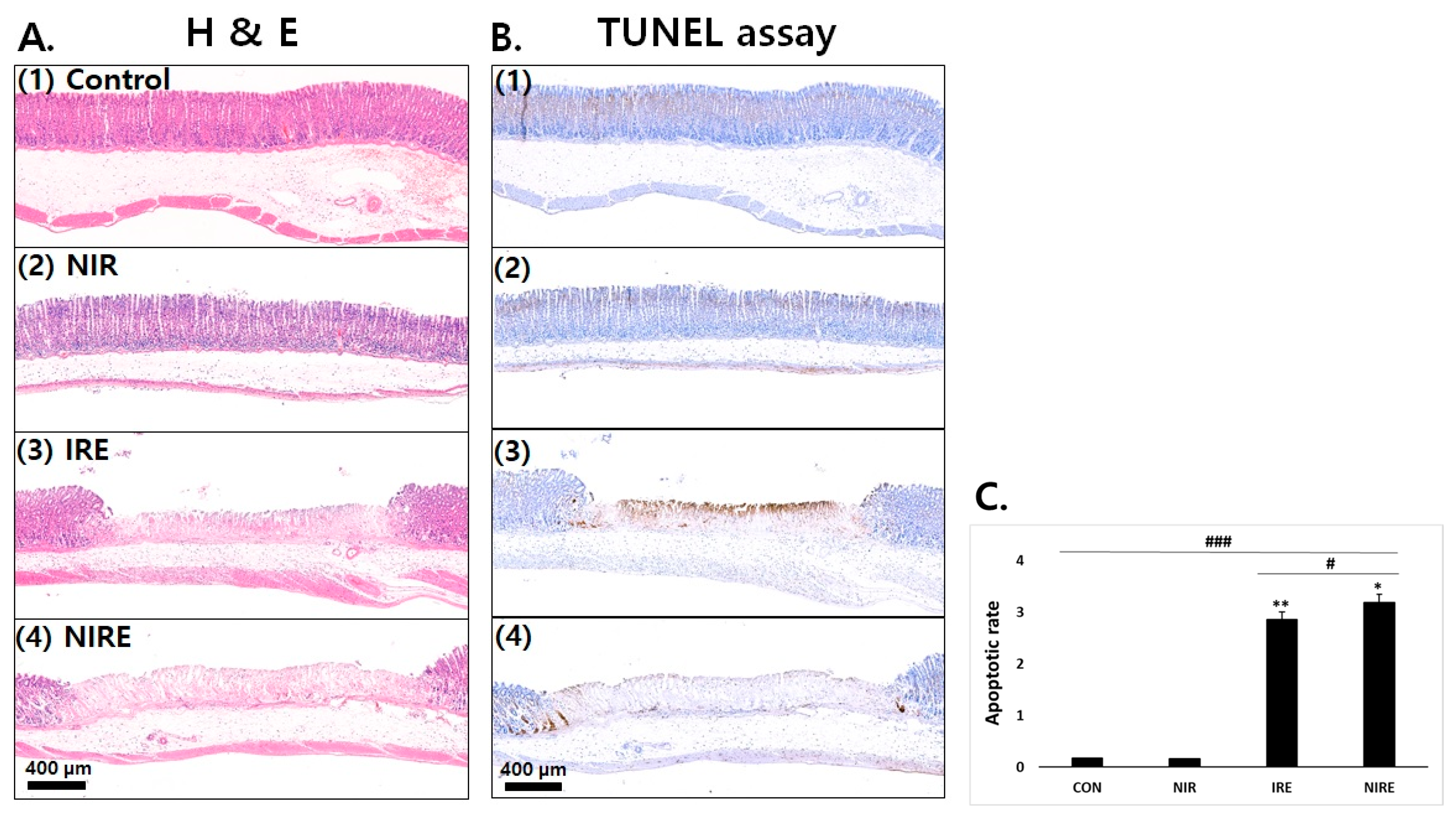 Applsci 13 10404 g002 Applsci 13 10404 g002