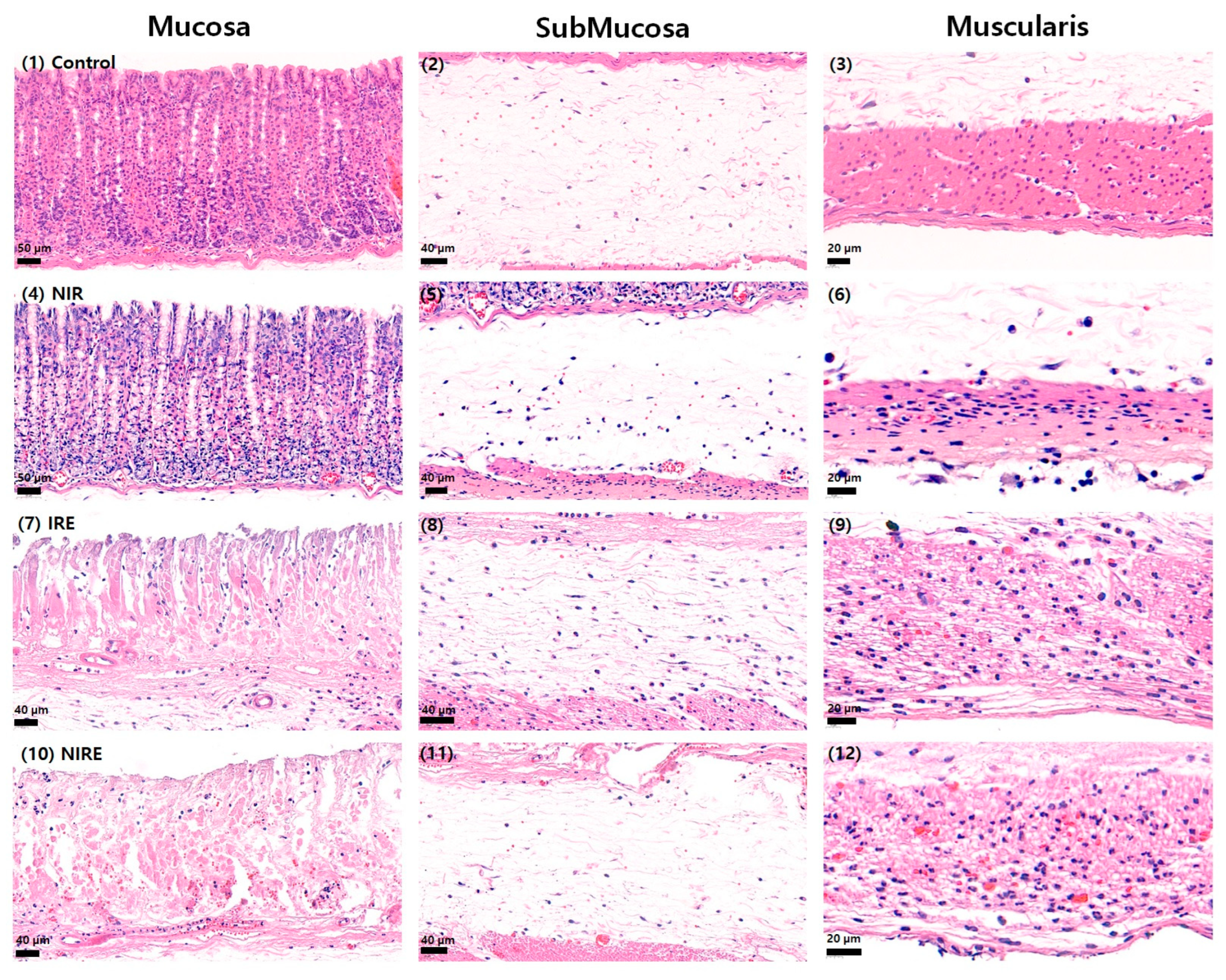 Applsci 13 10404 g003 Applsci 13 10404 g003