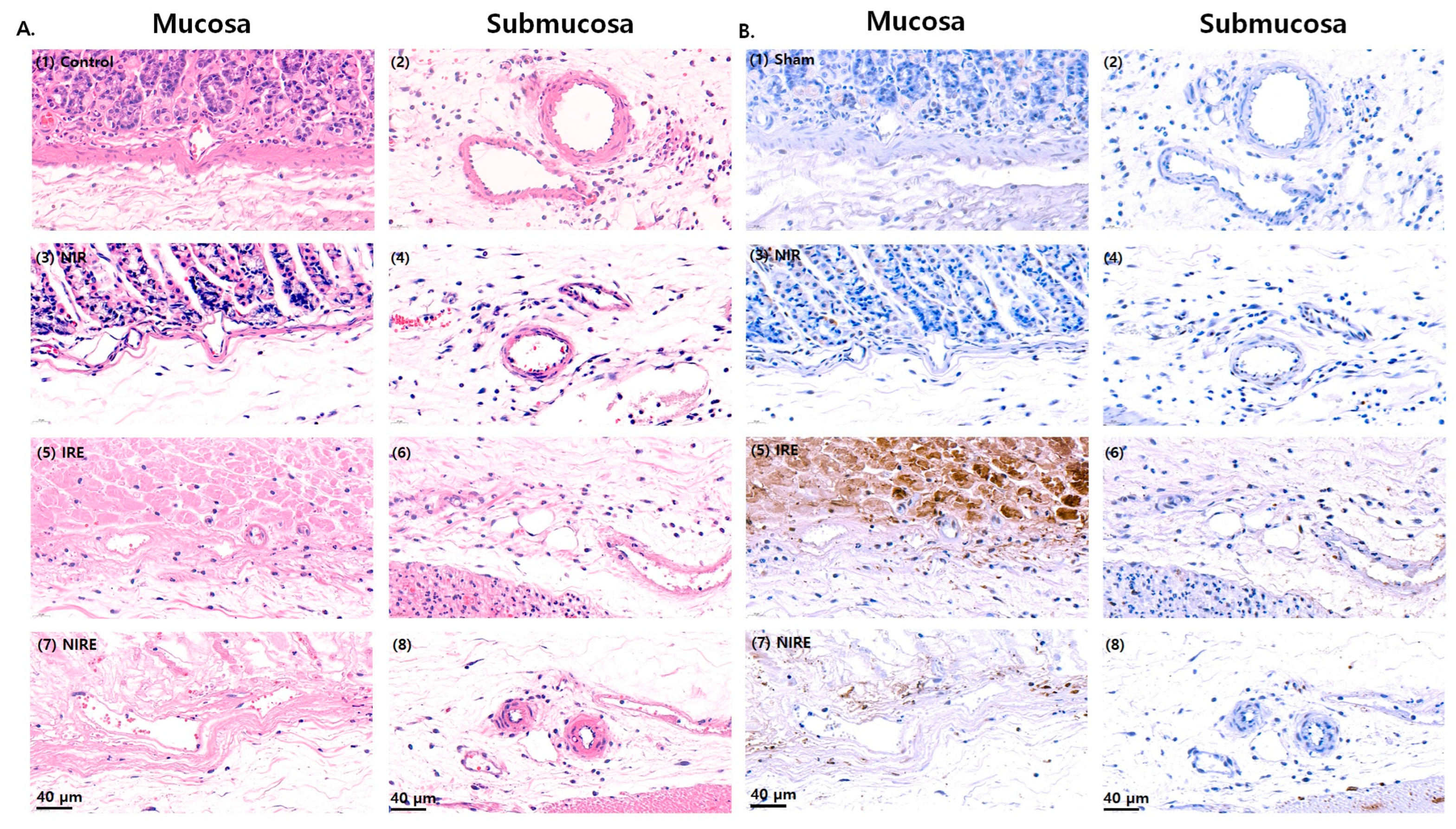 Applsci 13 10404 g004 Applsci 13 10404 g004
