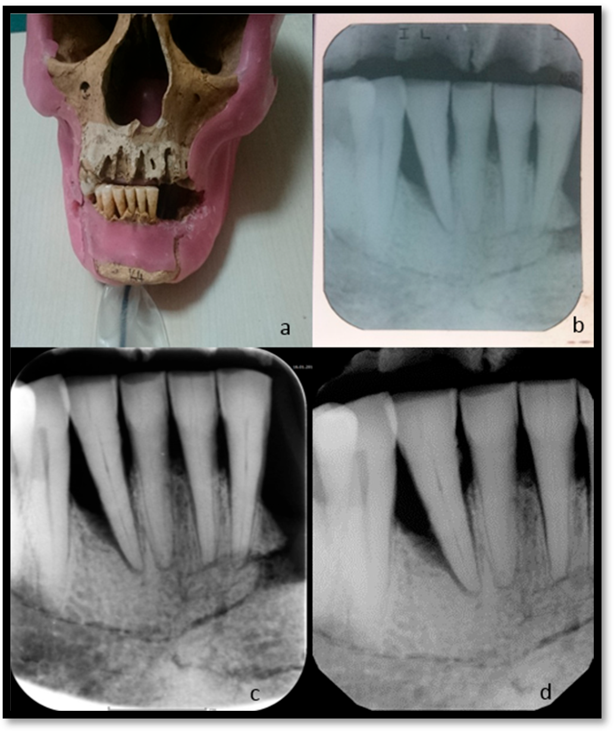Applsci 13 10414 g003