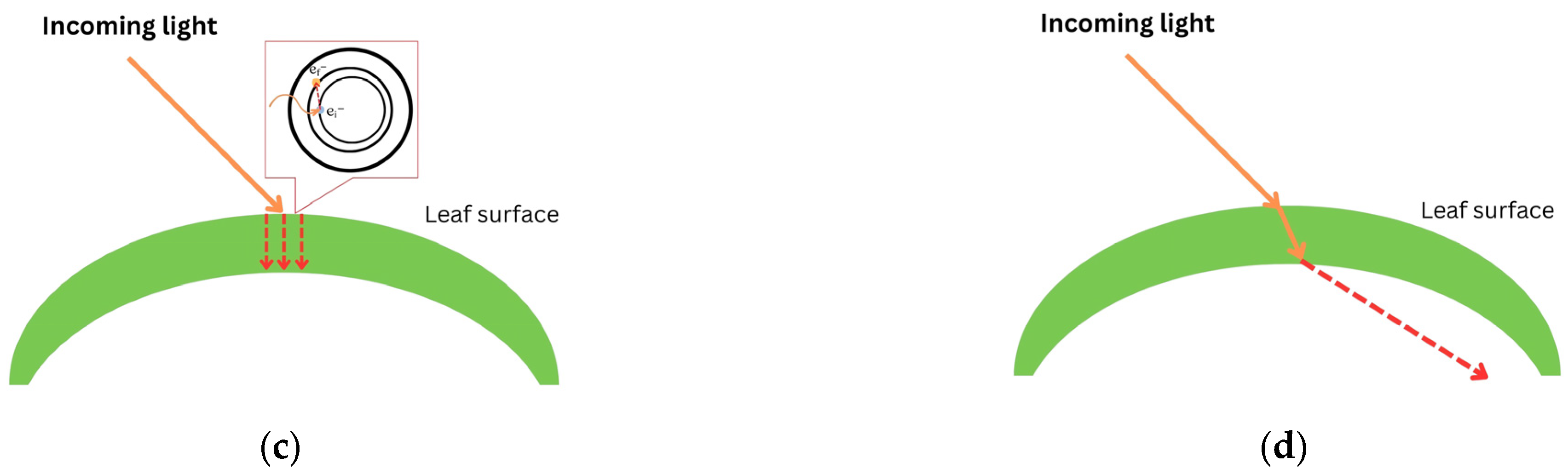 Applsci 13 10420 g002b