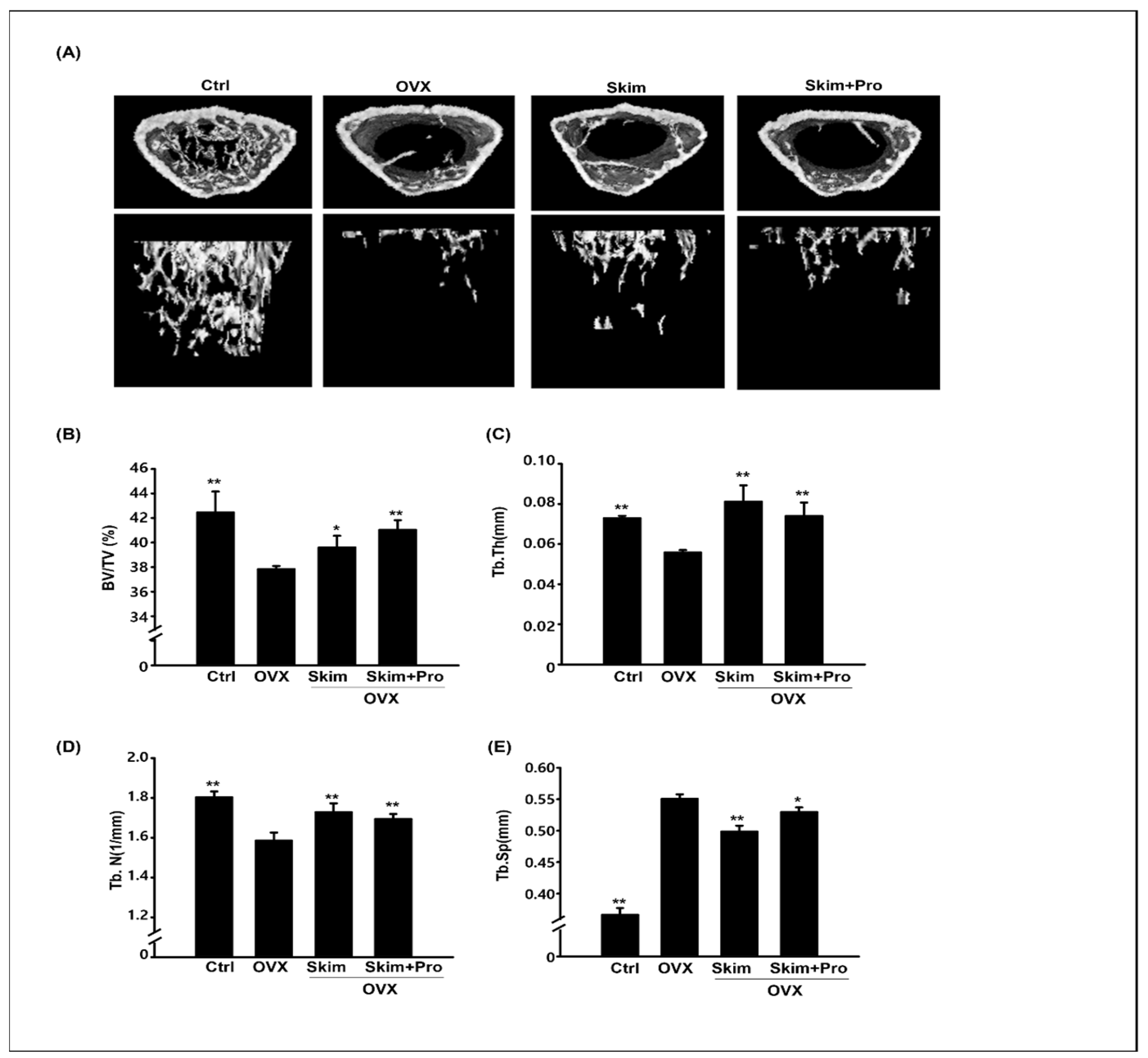 Applsci 13 10424 g002