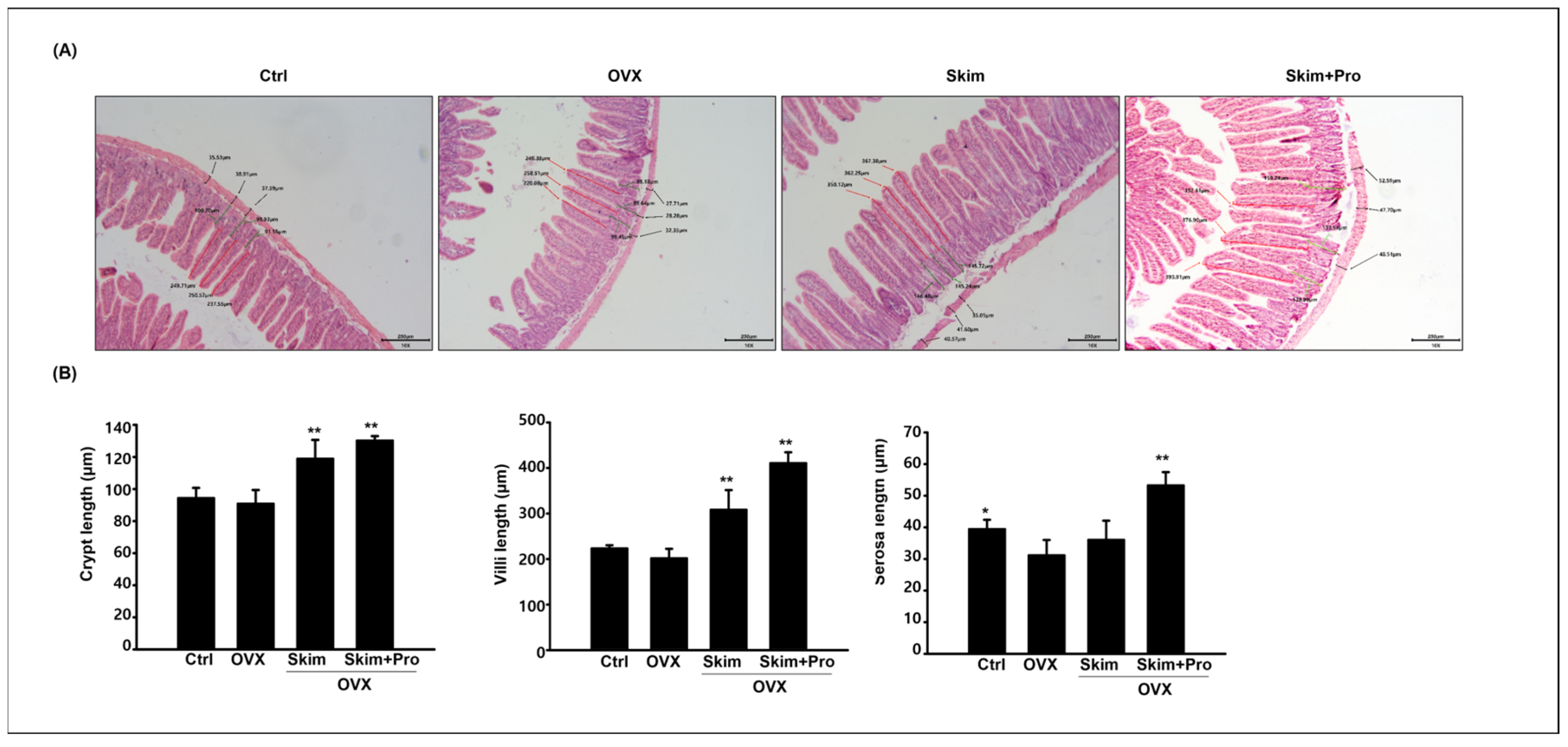 Applsci 13 10424 g003