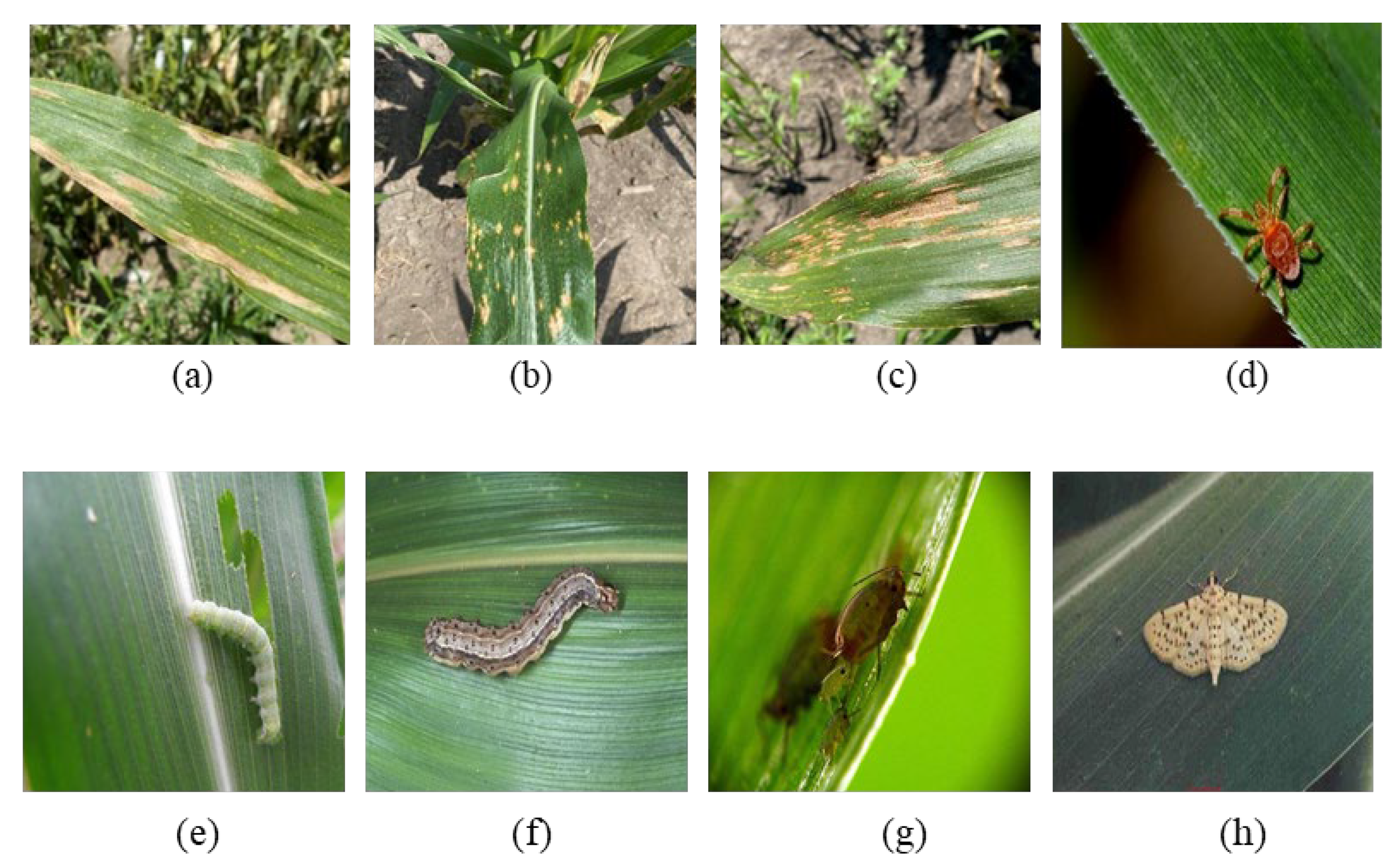 Applsci 13 10441 g001